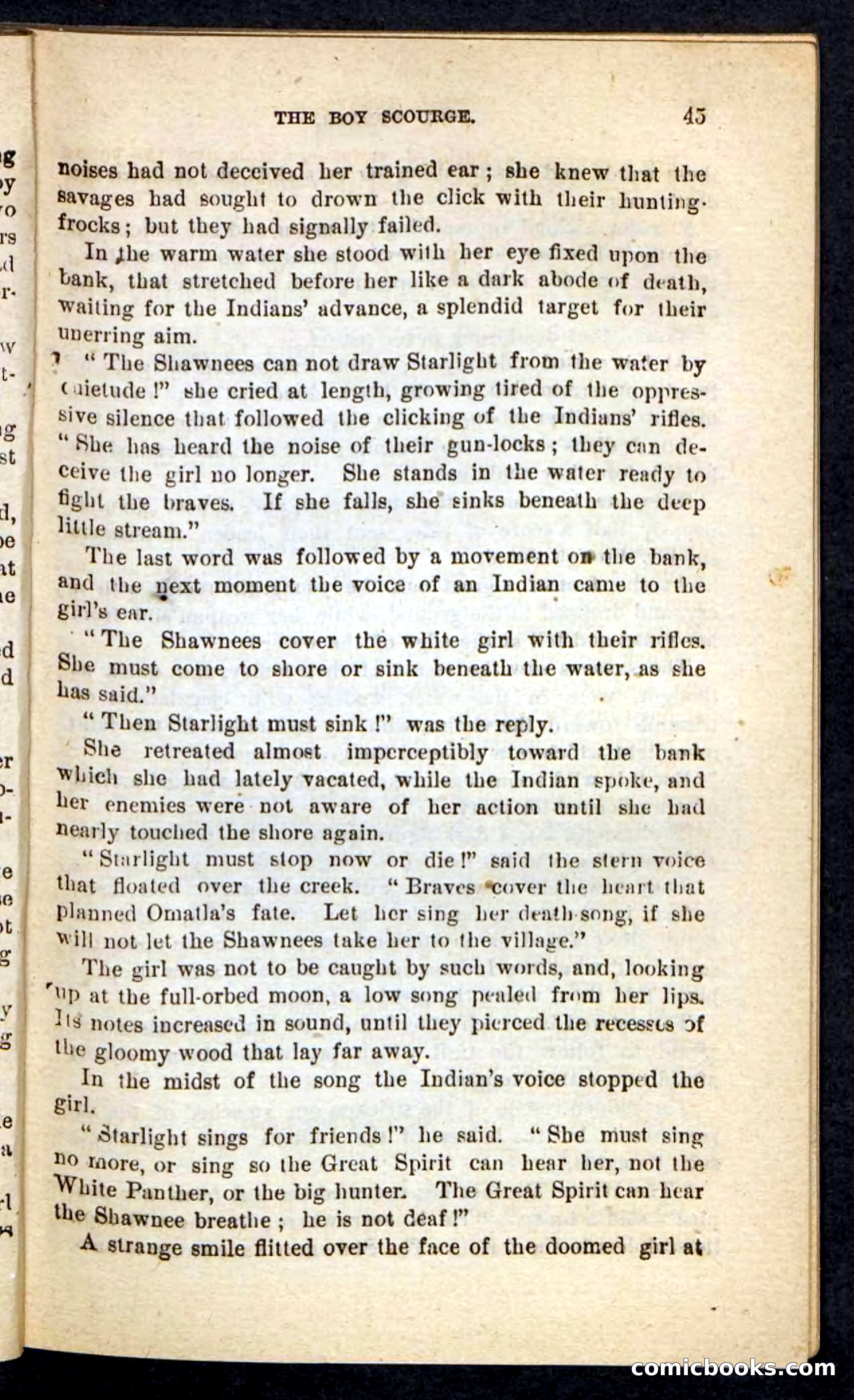 Beadle's Pocket Novels No. 87 — page 41 of 100