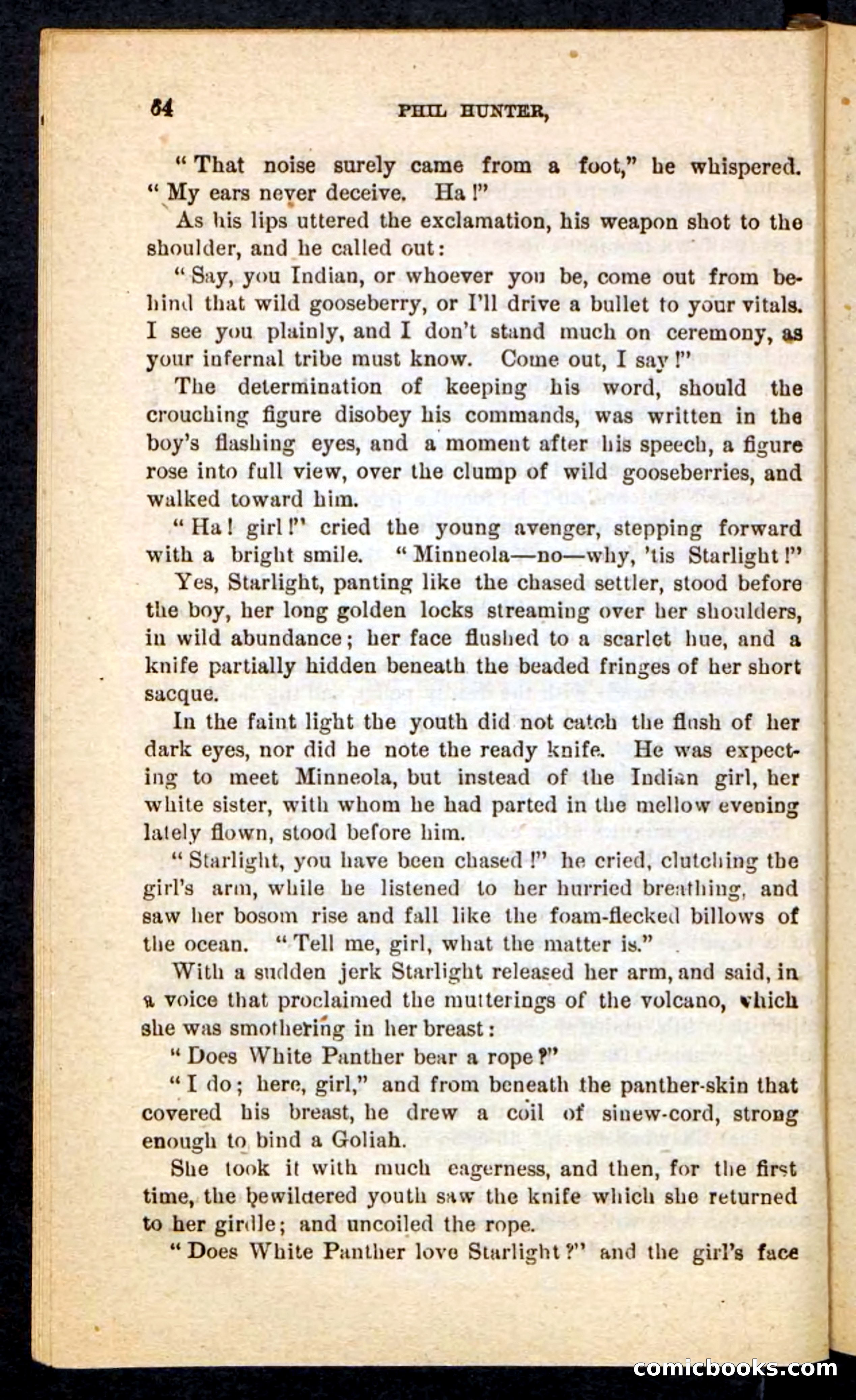 Beadle's Pocket Novels No. 87 — page 60 of 100