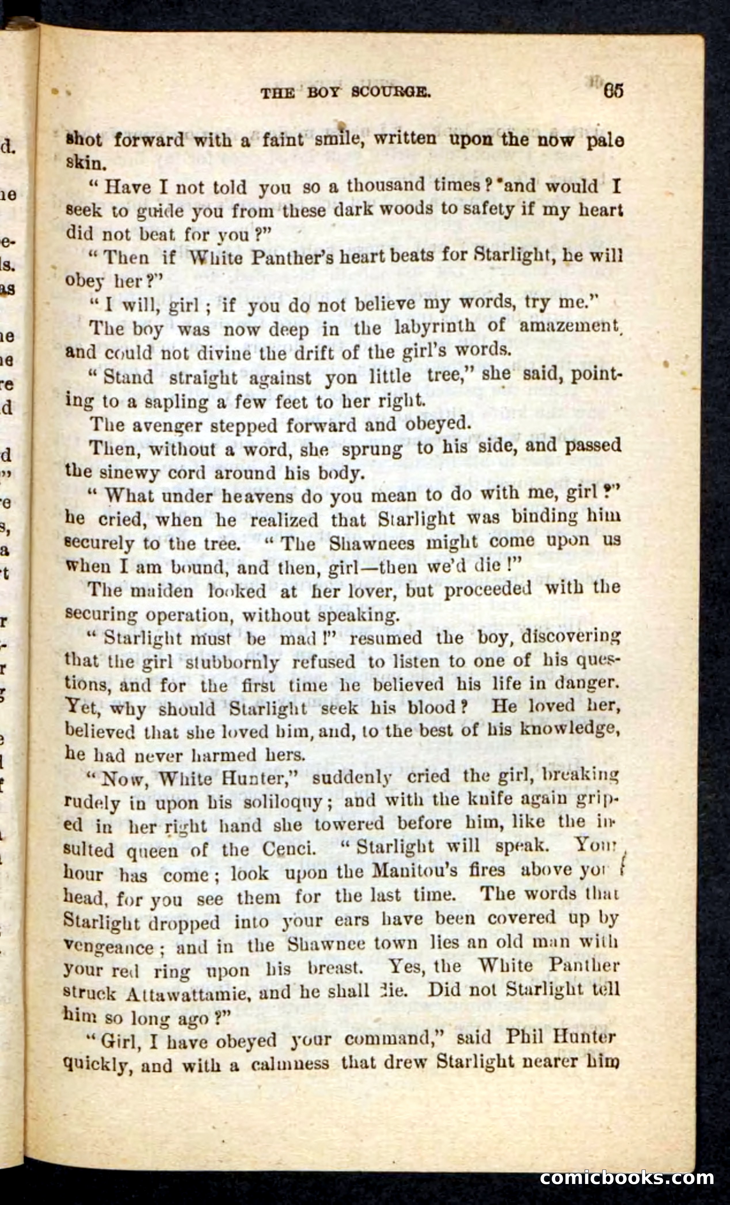 Beadle's Pocket Novels No. 87 — page 61 of 100