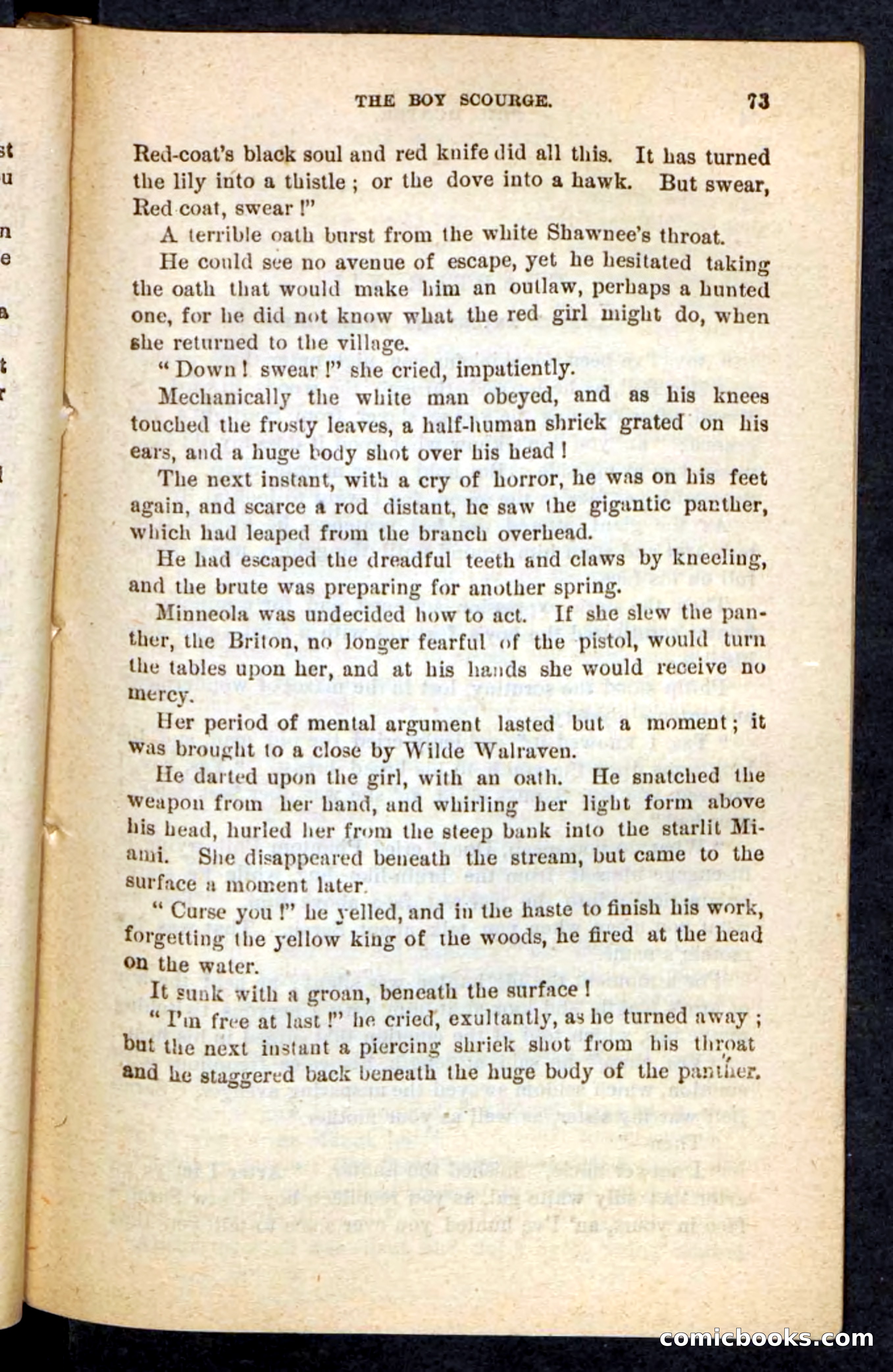 Beadle's Pocket Novels No. 87 — page 69 of 100