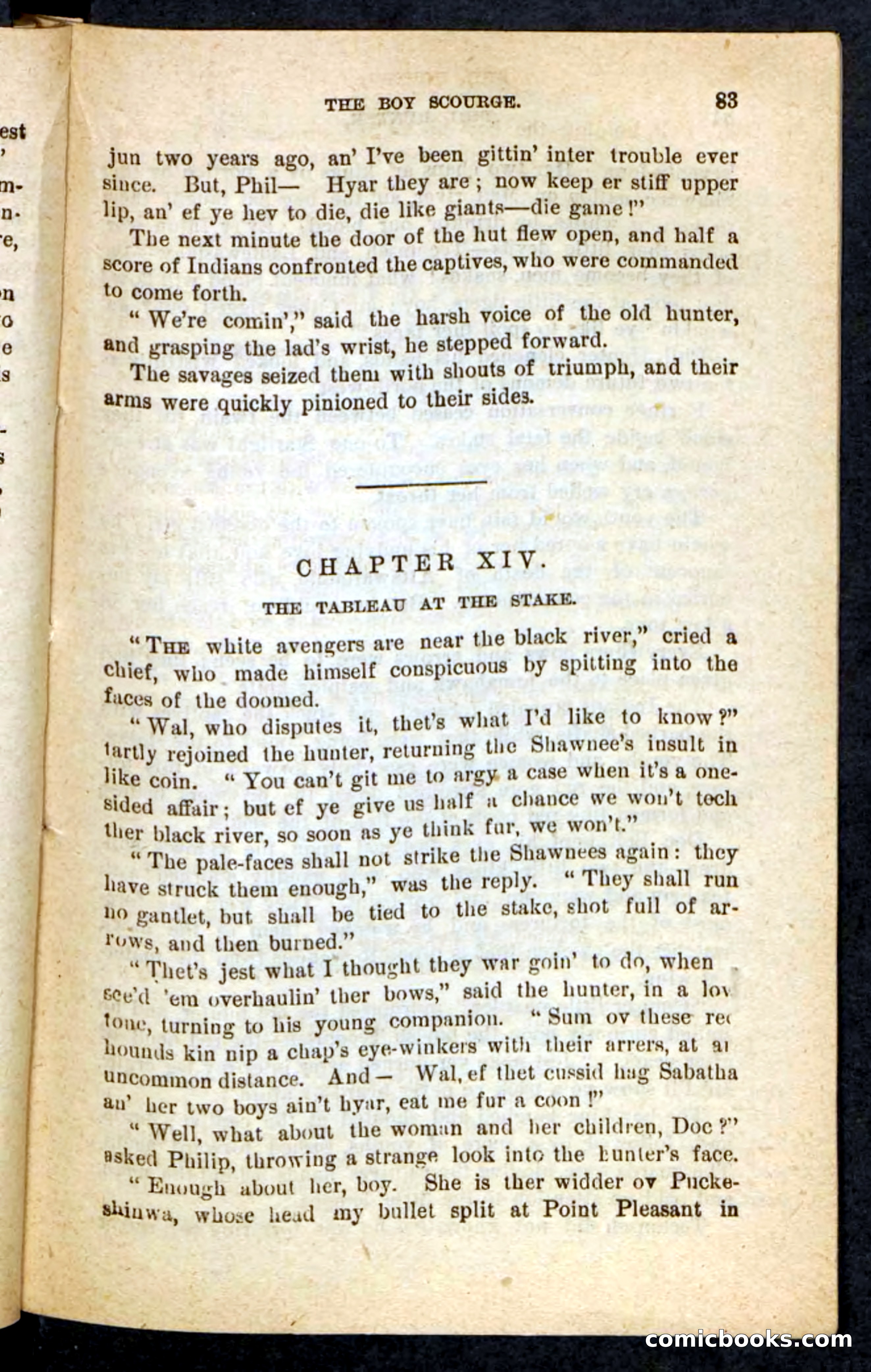 Beadle's Pocket Novels No. 87 — page 79 of 100