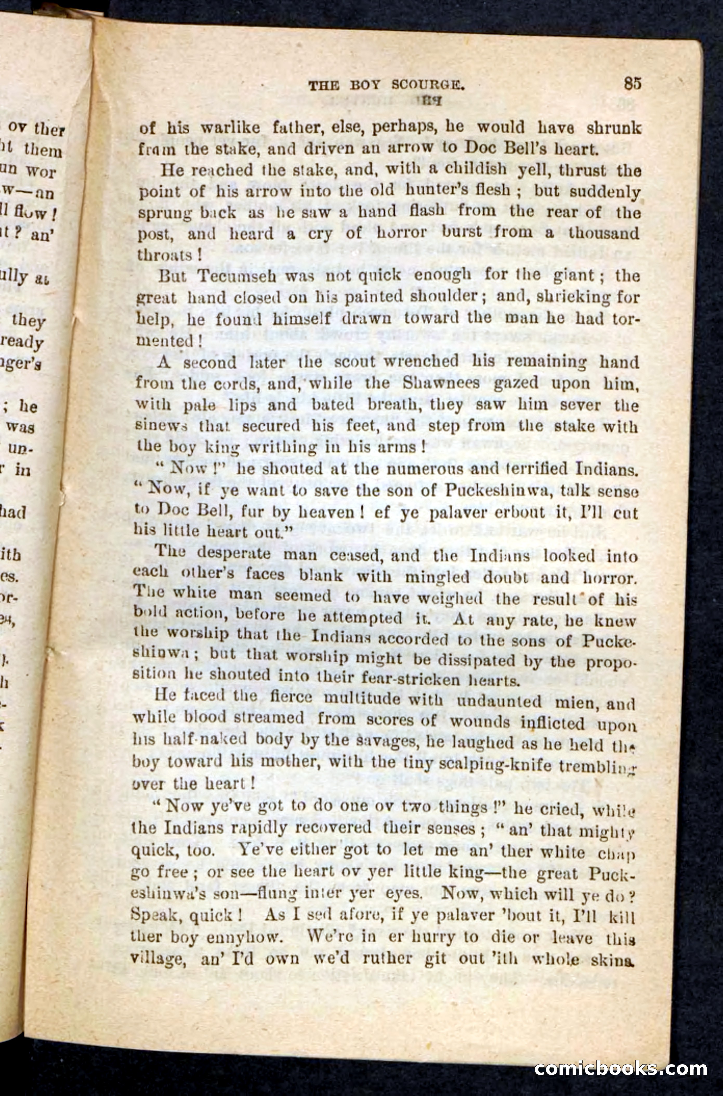Beadle's Pocket Novels No. 87 — page 81 of 100