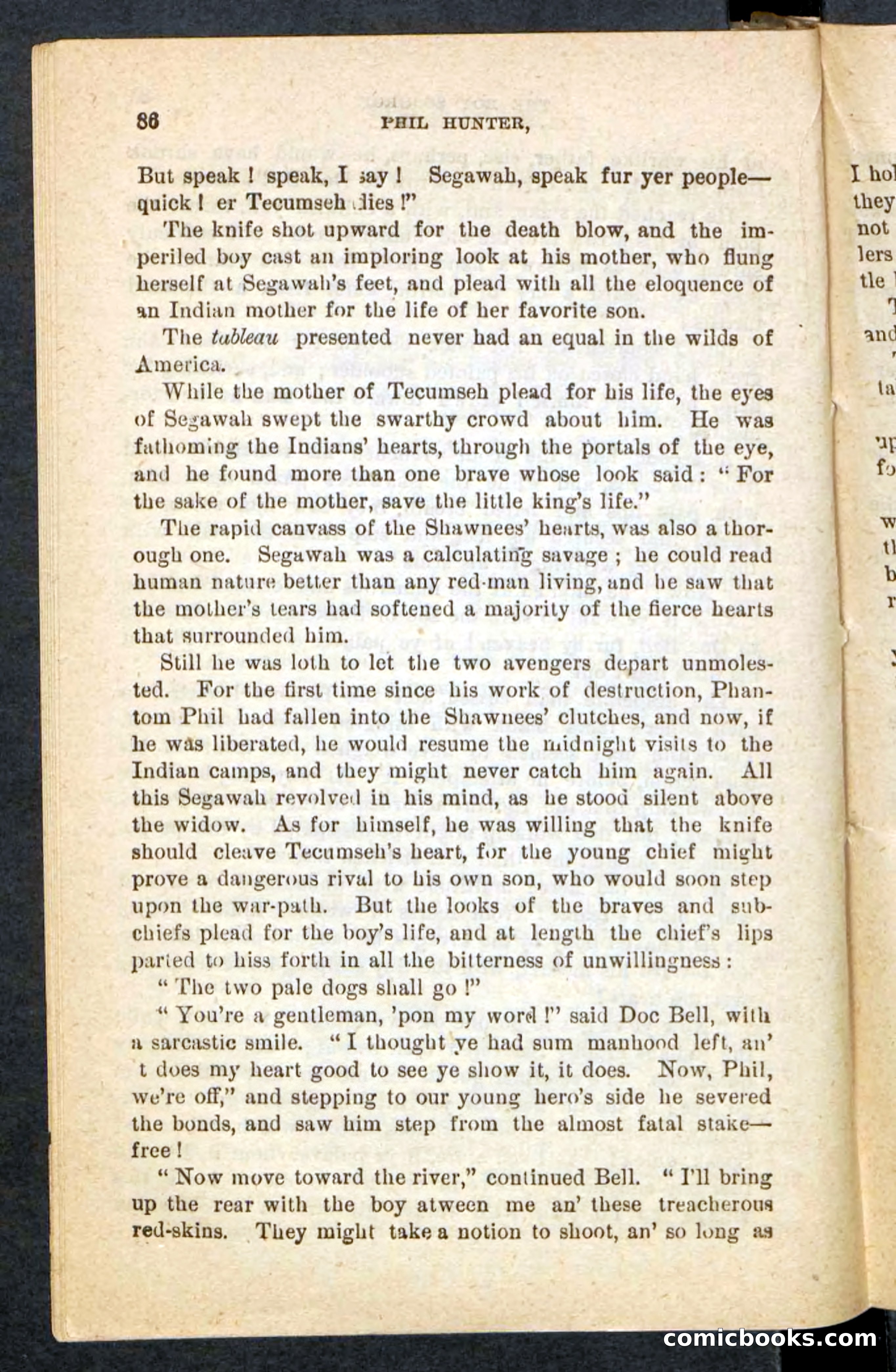 Beadle's Pocket Novels No. 87 — page 82 of 100