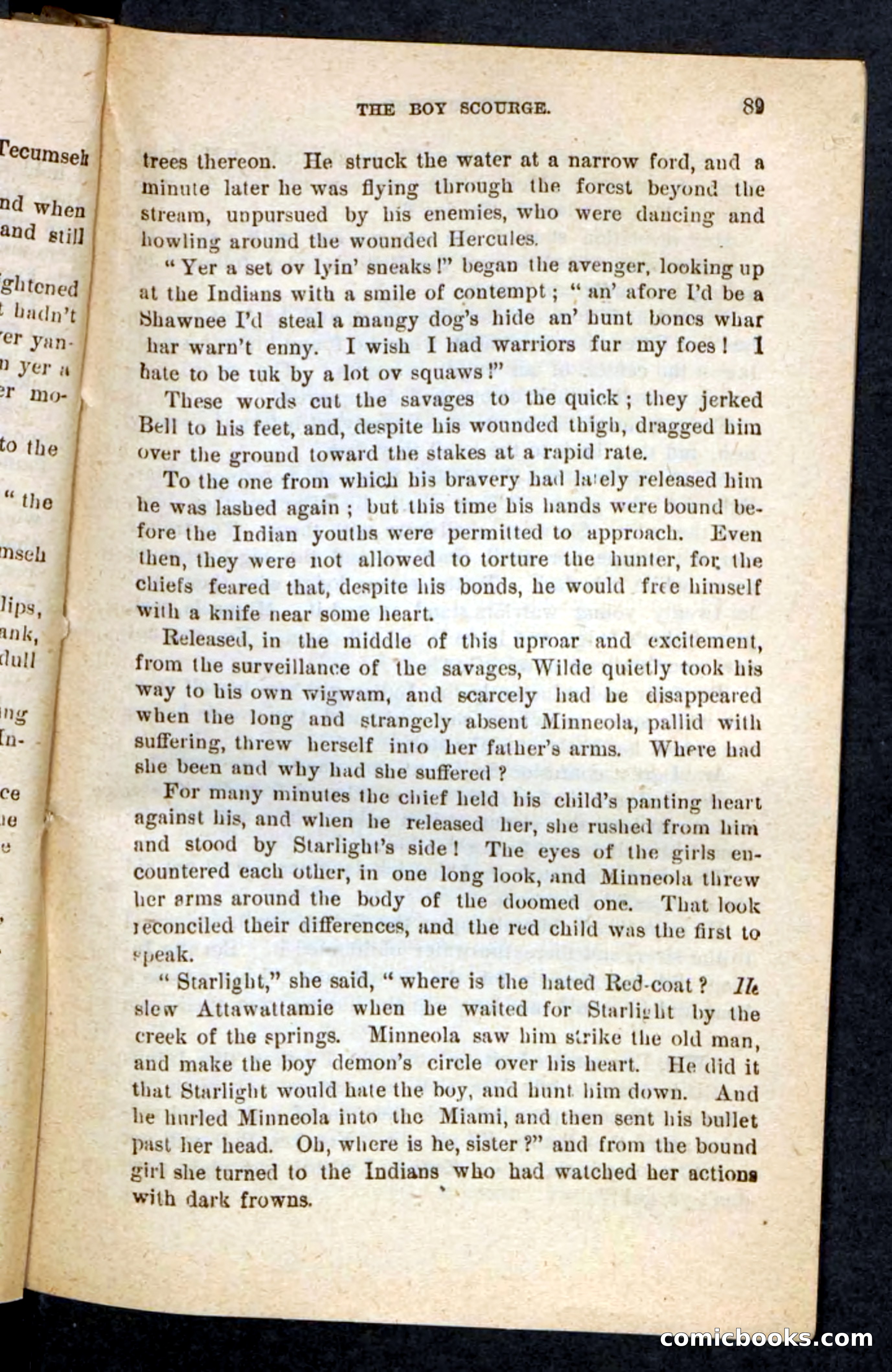 Beadle's Pocket Novels No. 87 — page 85 of 100