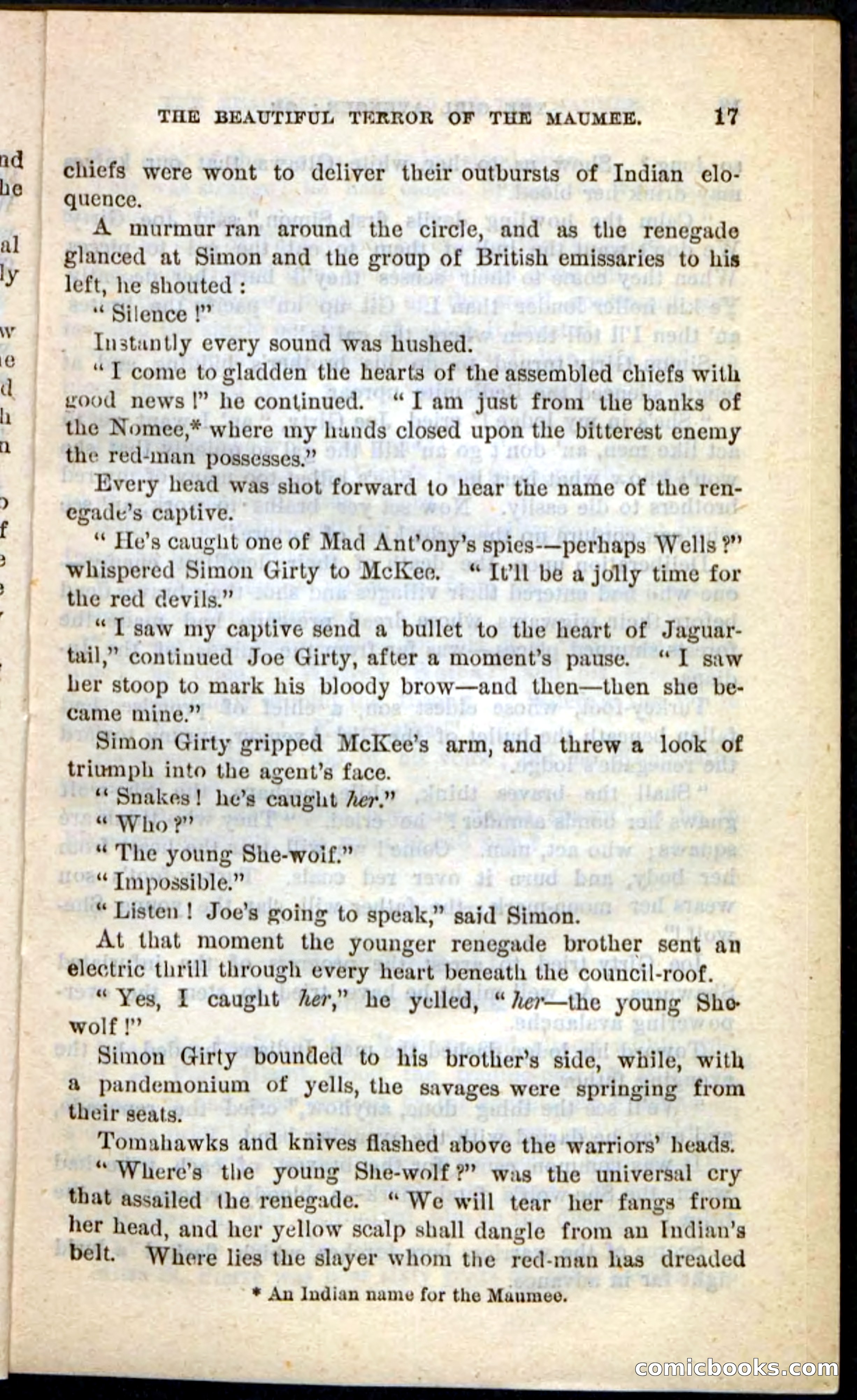 The Girl Avenger — page 13 of 100