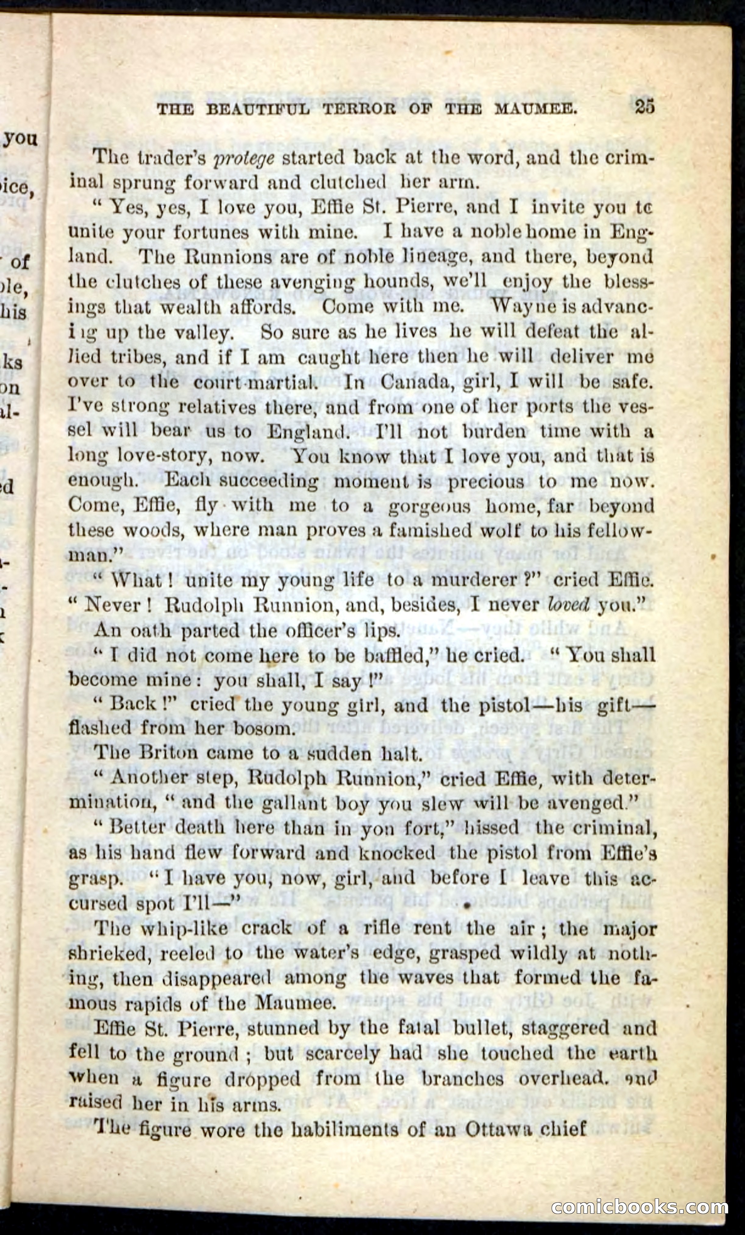 The Girl Avenger — page 21 of 100