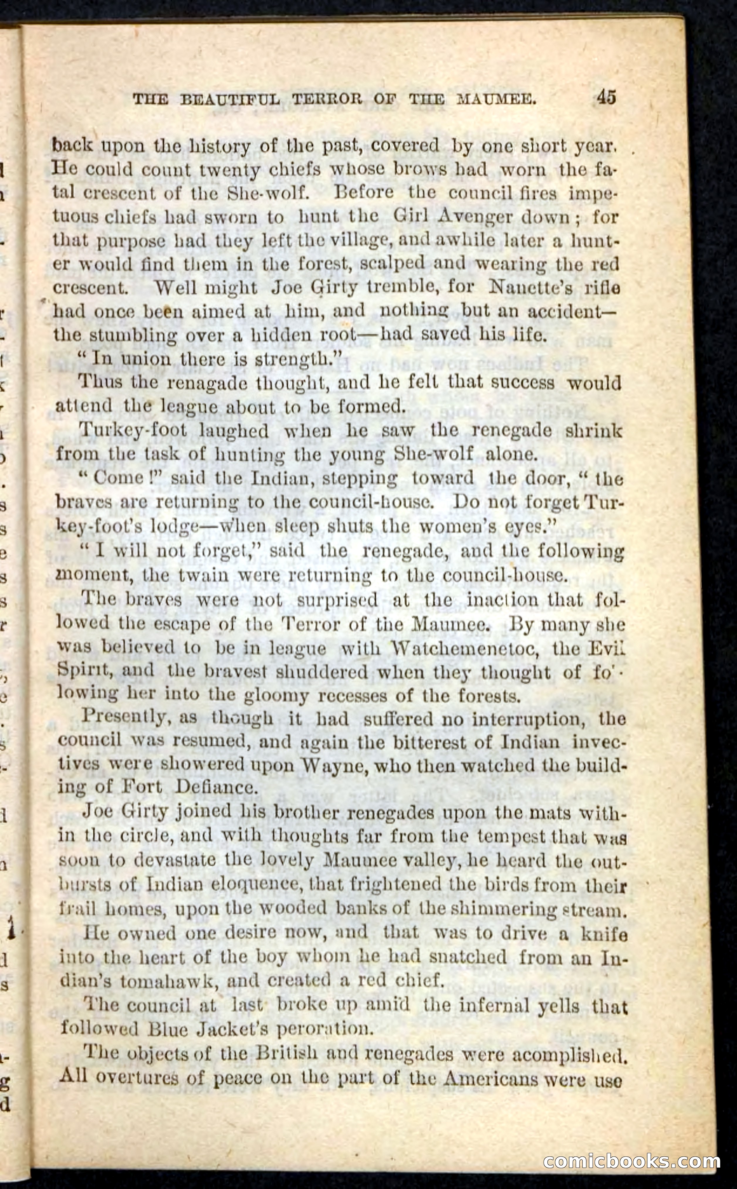 The Girl Avenger — page 41 of 100