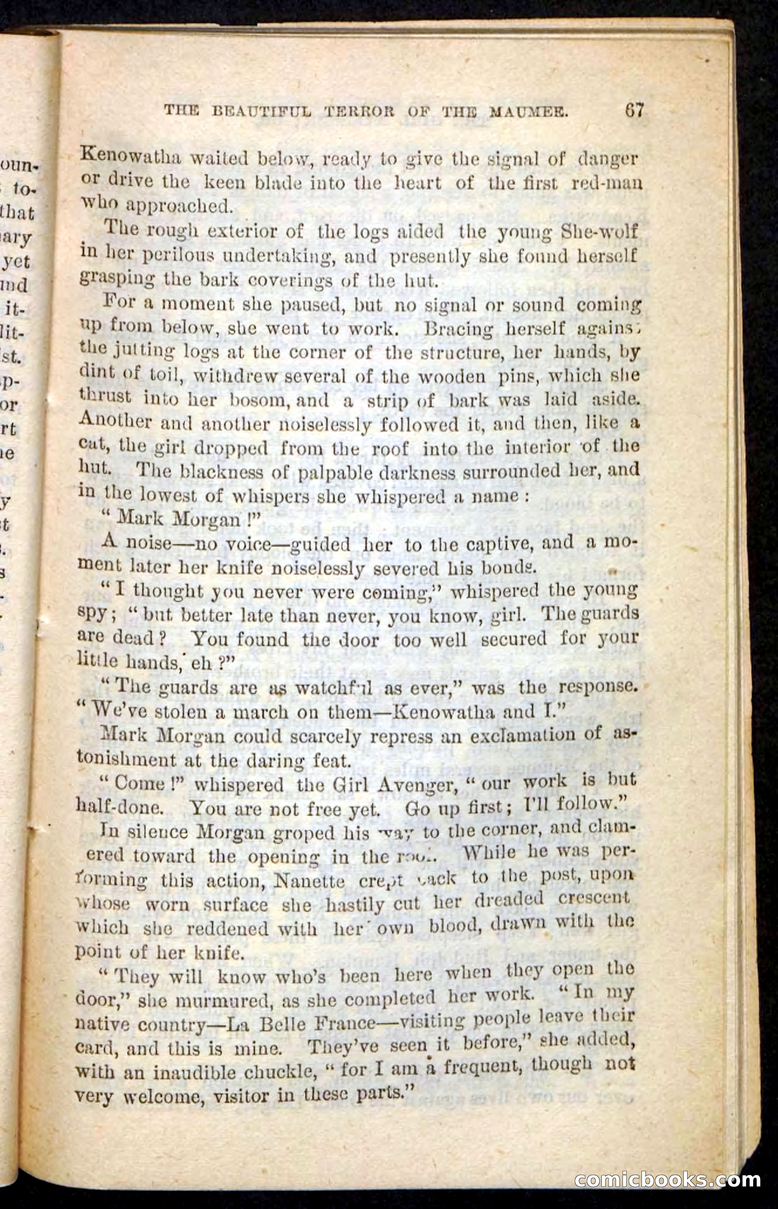 The Girl Avenger — page 63 of 100