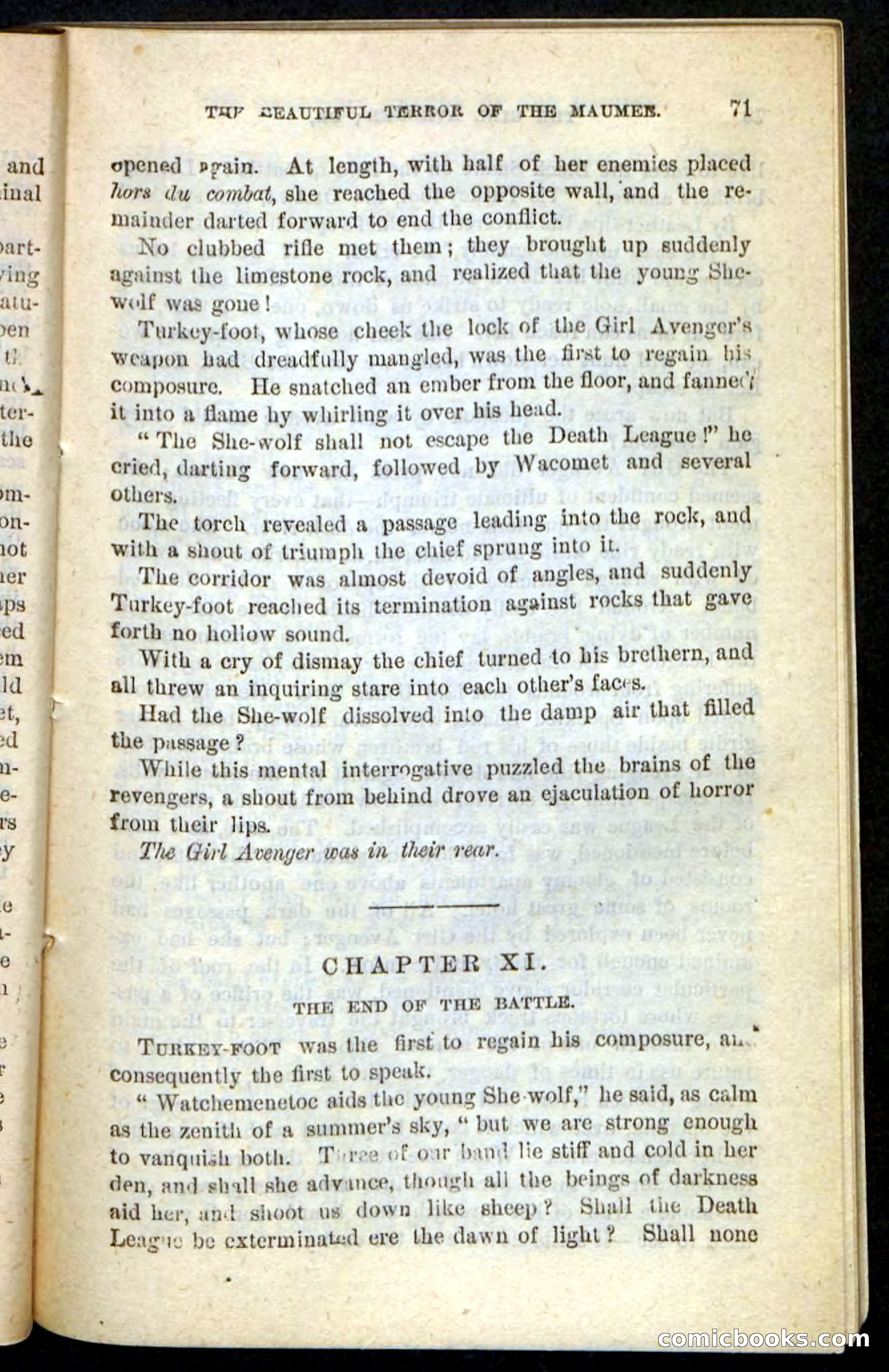 The Girl Avenger — page 67 of 100