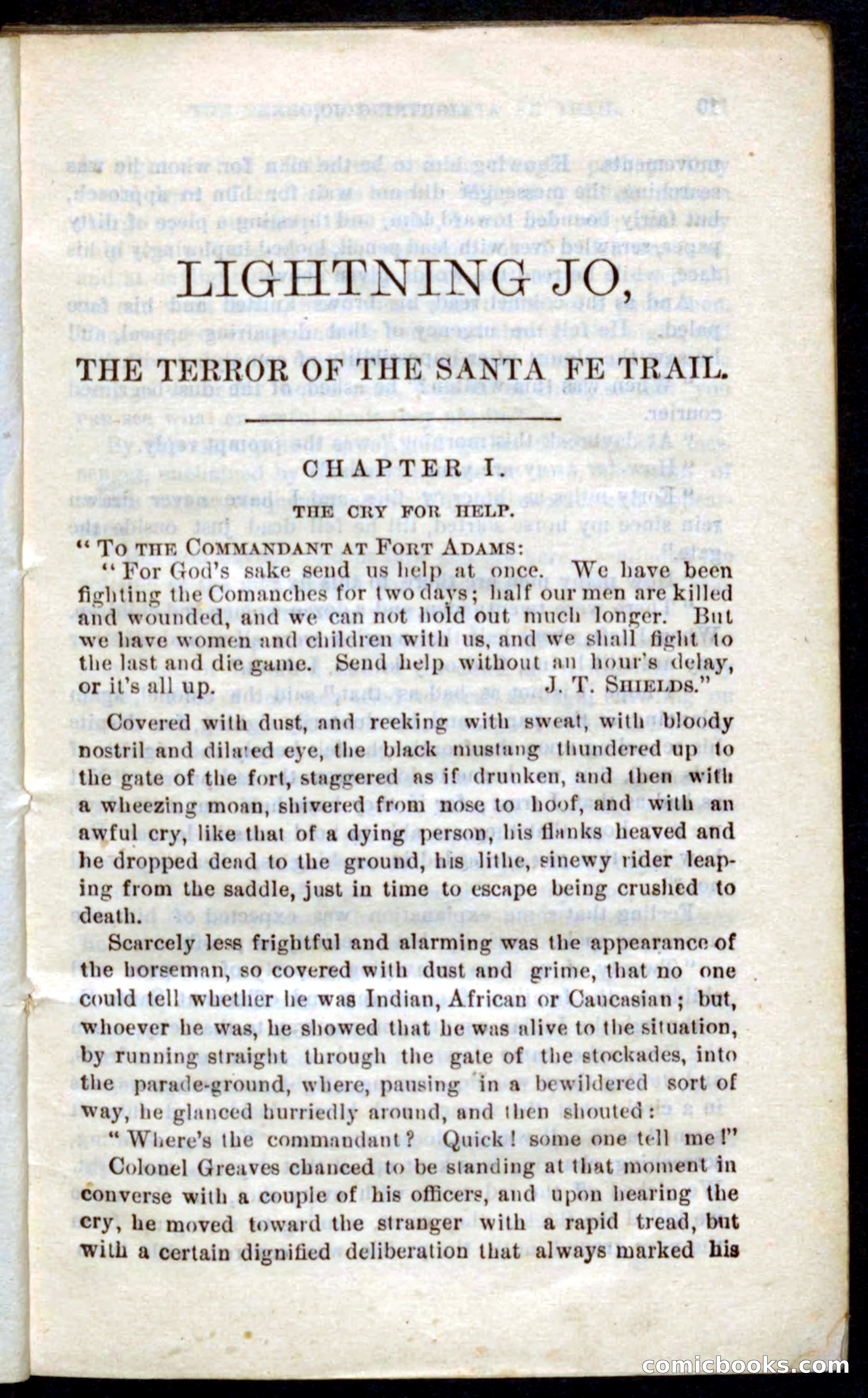 Beadle's Pocket Novels No. 9: Lightning Jo — page 5 of 100