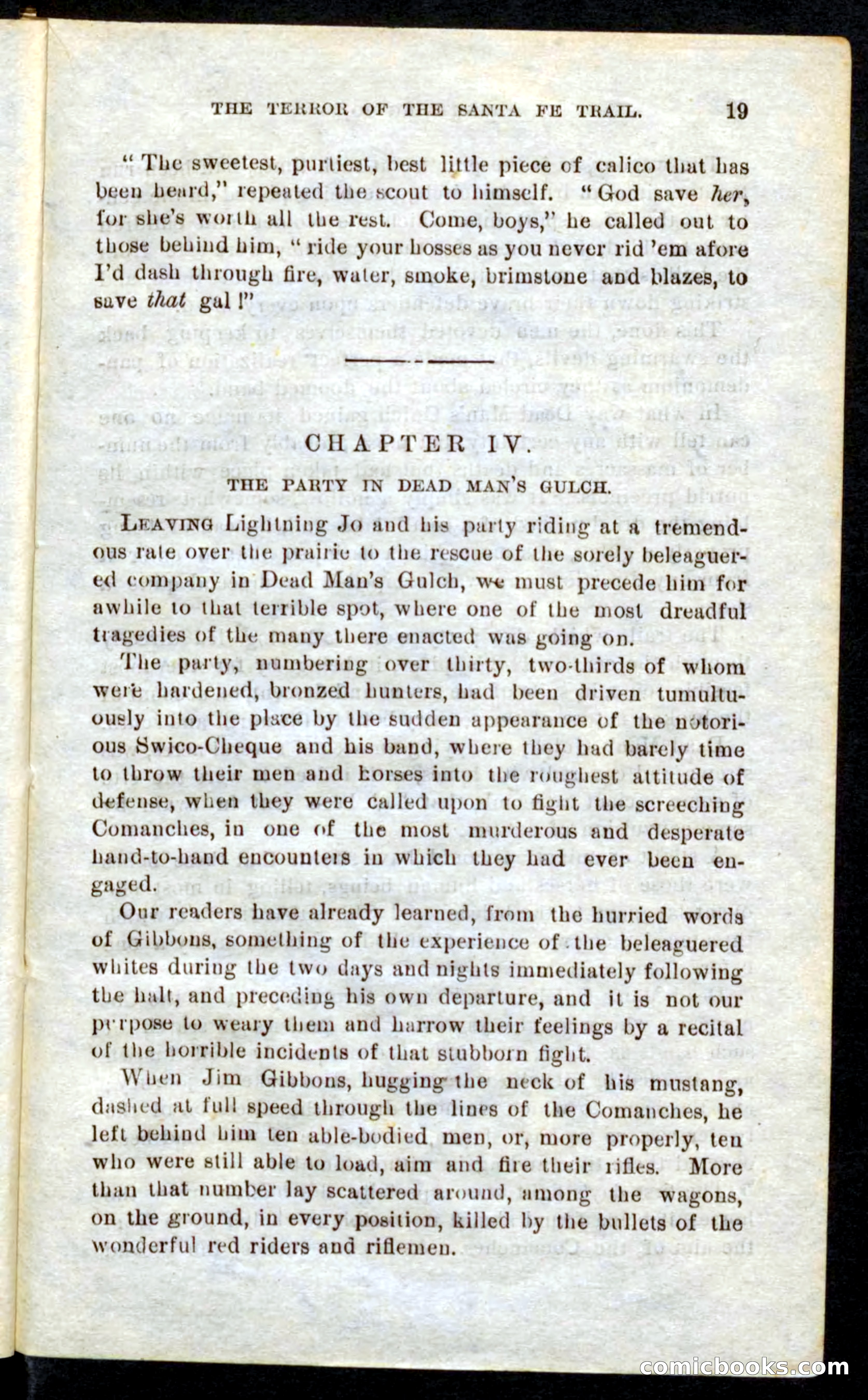 Beadle's Pocket Novels No. 9: Lightning Jo — page 15 of 100