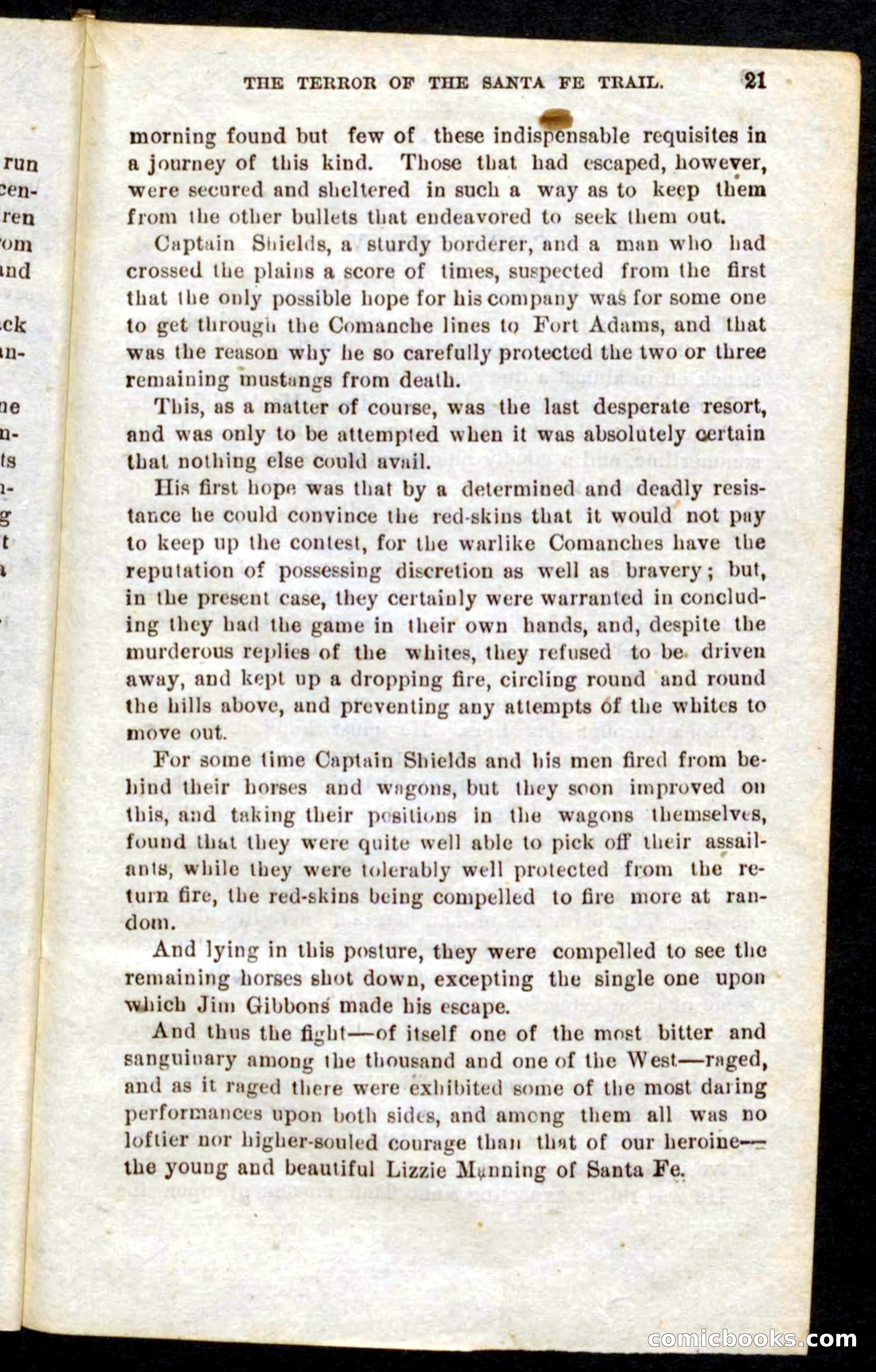 Beadle's Pocket Novels No. 9: Lightning Jo — page 17 of 100
