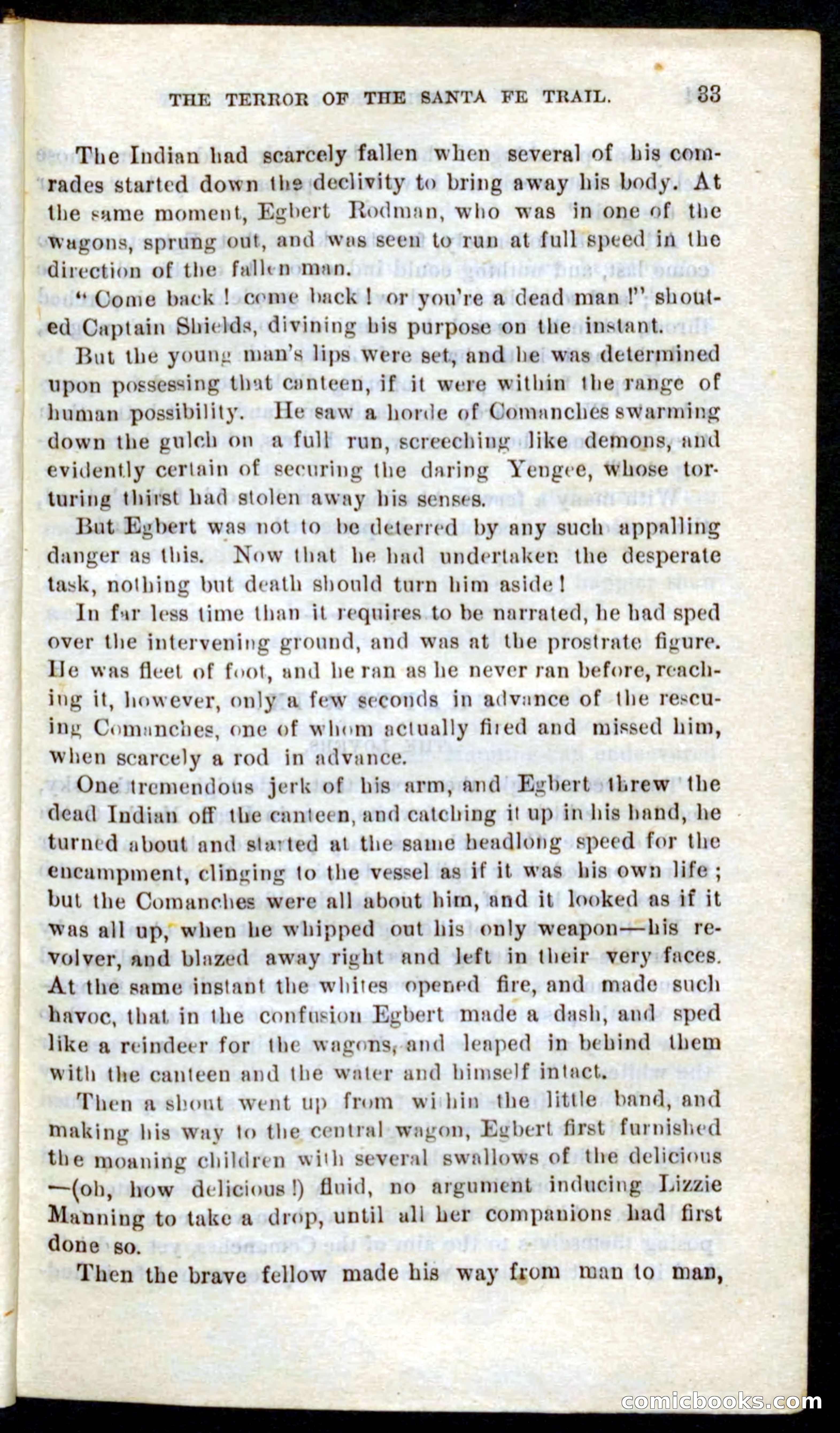 Beadle's Pocket Novels No. 9: Lightning Jo — page 29 of 100