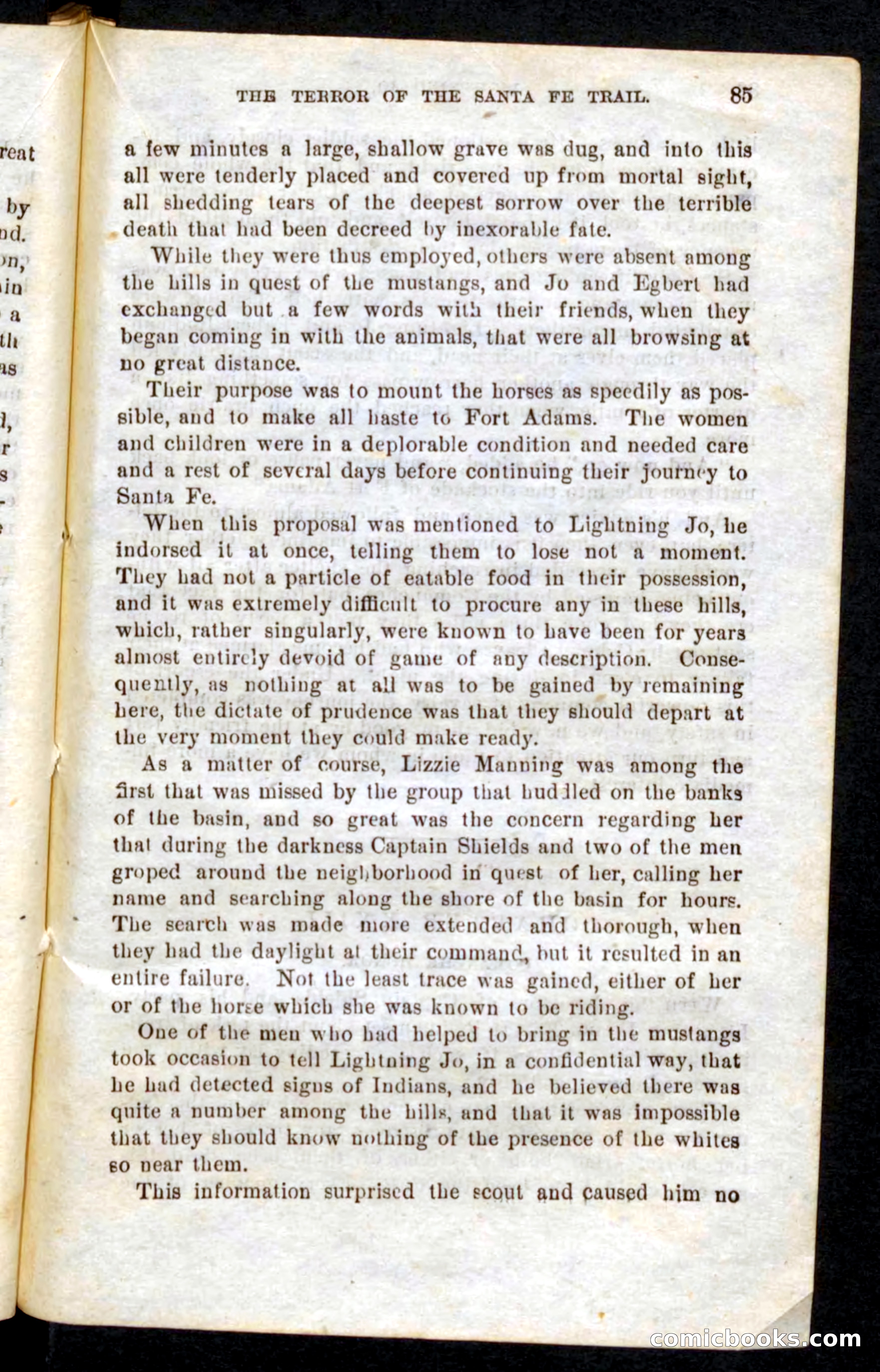 Beadle's Pocket Novels No. 9: Lightning Jo — page 81 of 100