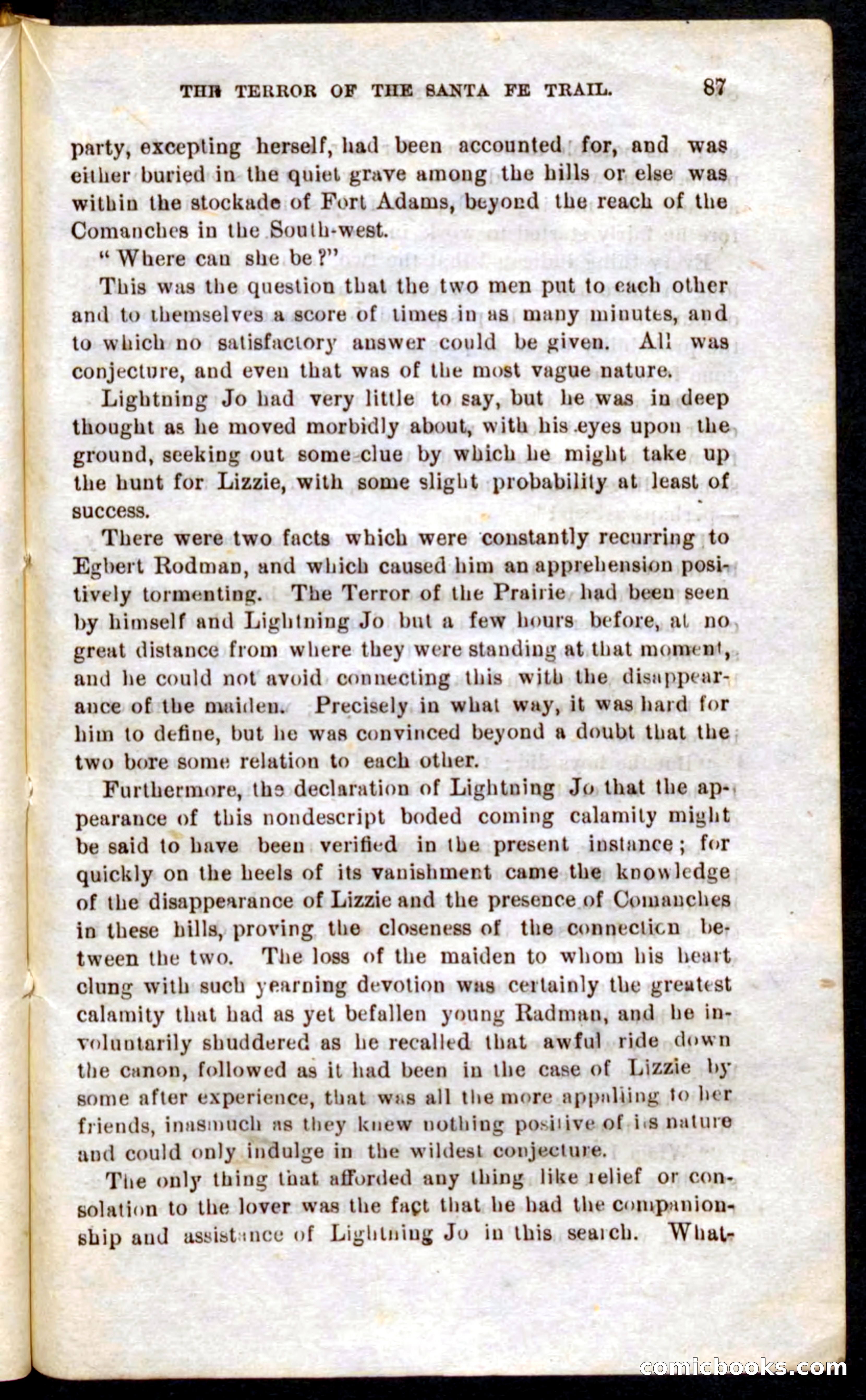 Beadle's Pocket Novels No. 9: Lightning Jo — page 83 of 100