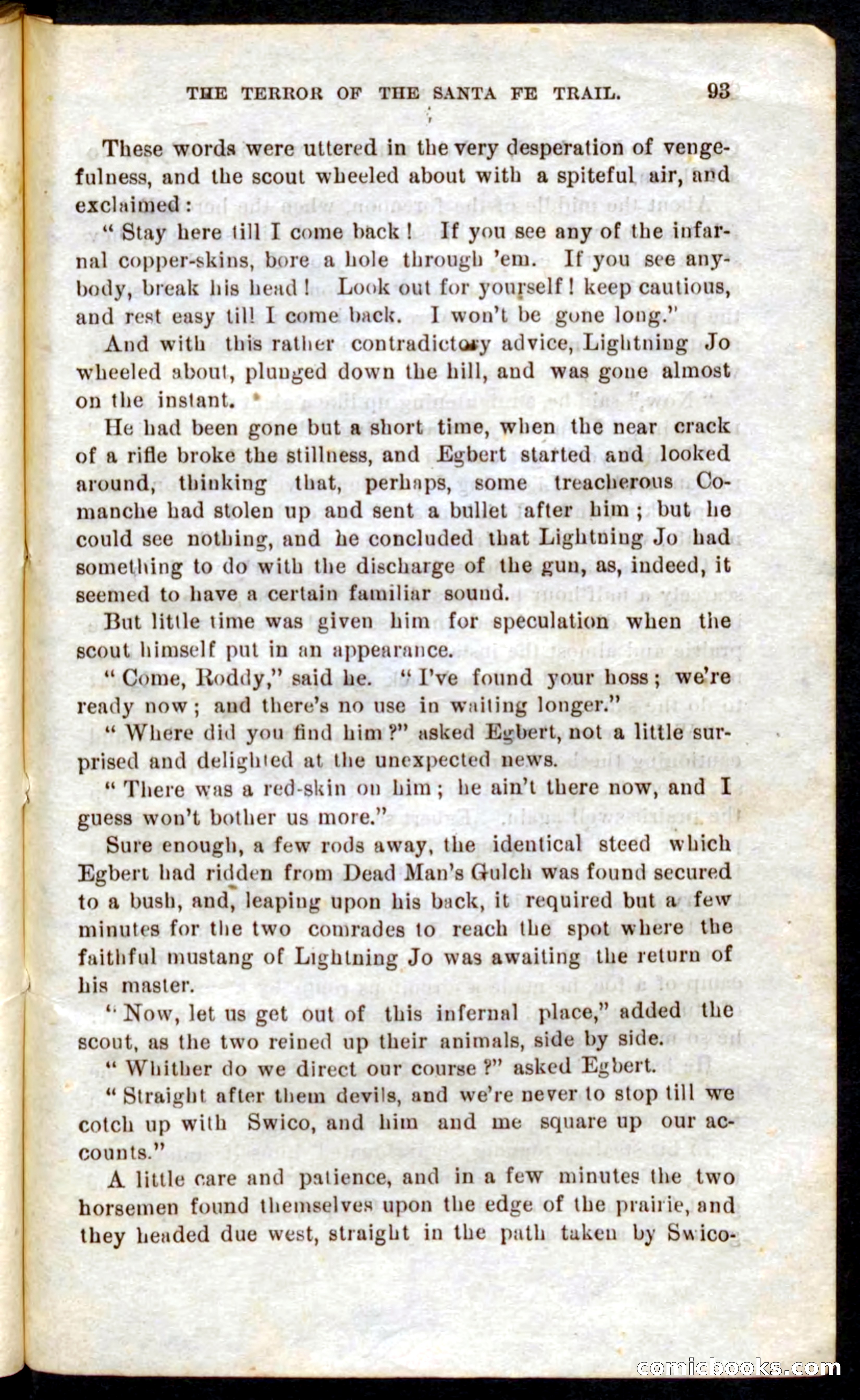 Beadle's Pocket Novels No. 9: Lightning Jo — page 89 of 100