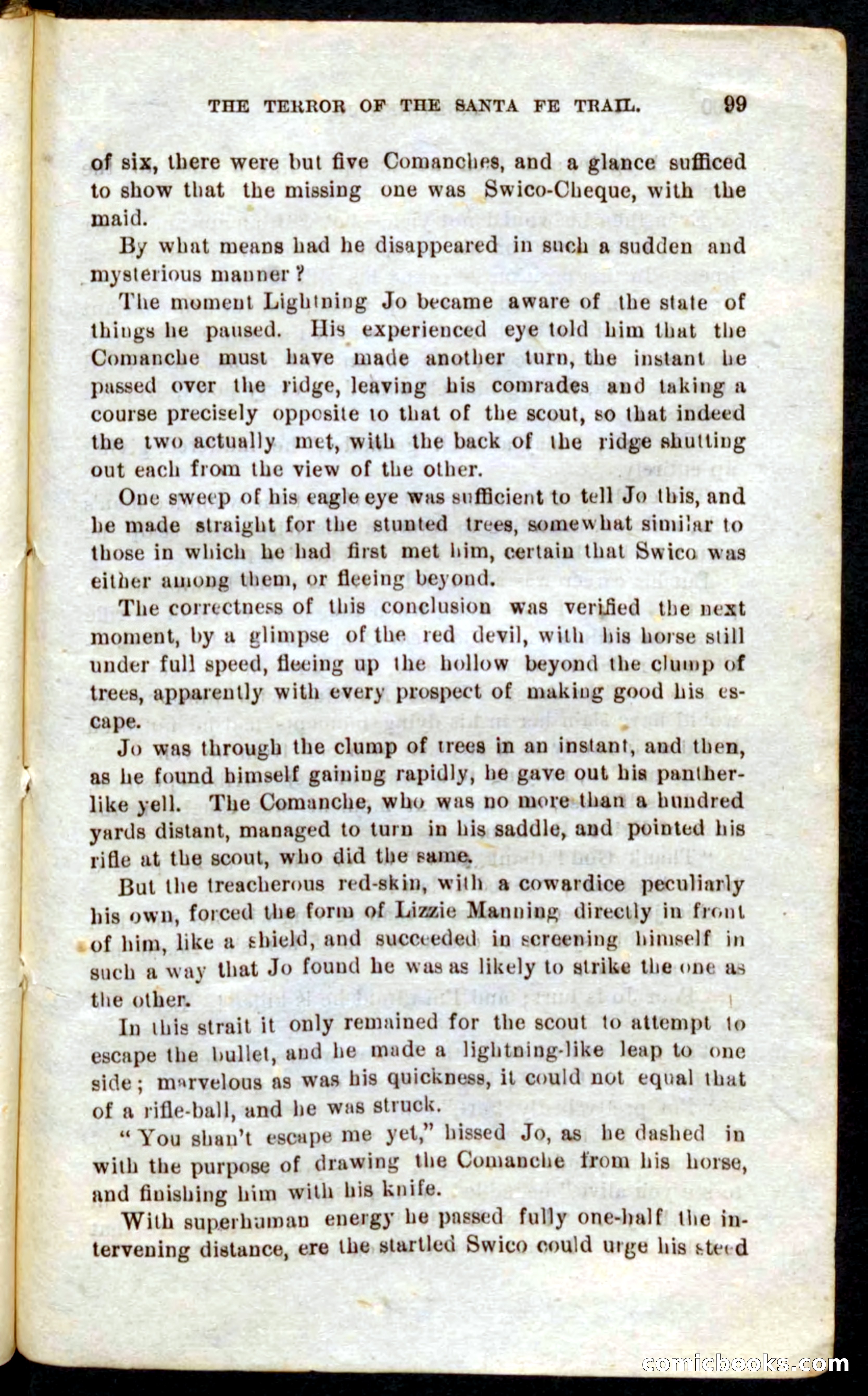 Beadle's Pocket Novels No. 9: Lightning Jo — page 95 of 100