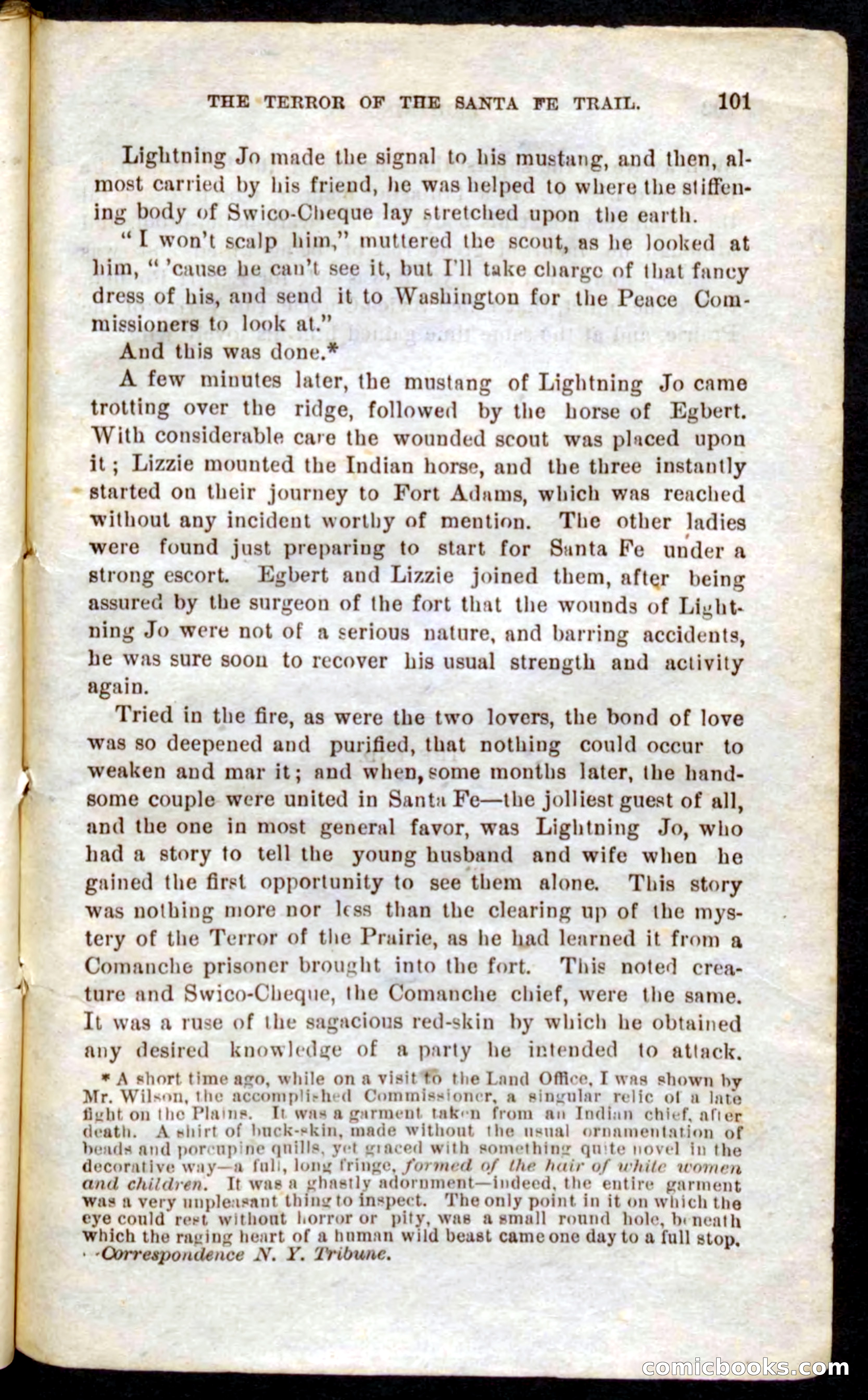 Beadle's Pocket Novels No. 9: Lightning Jo — page 97 of 100