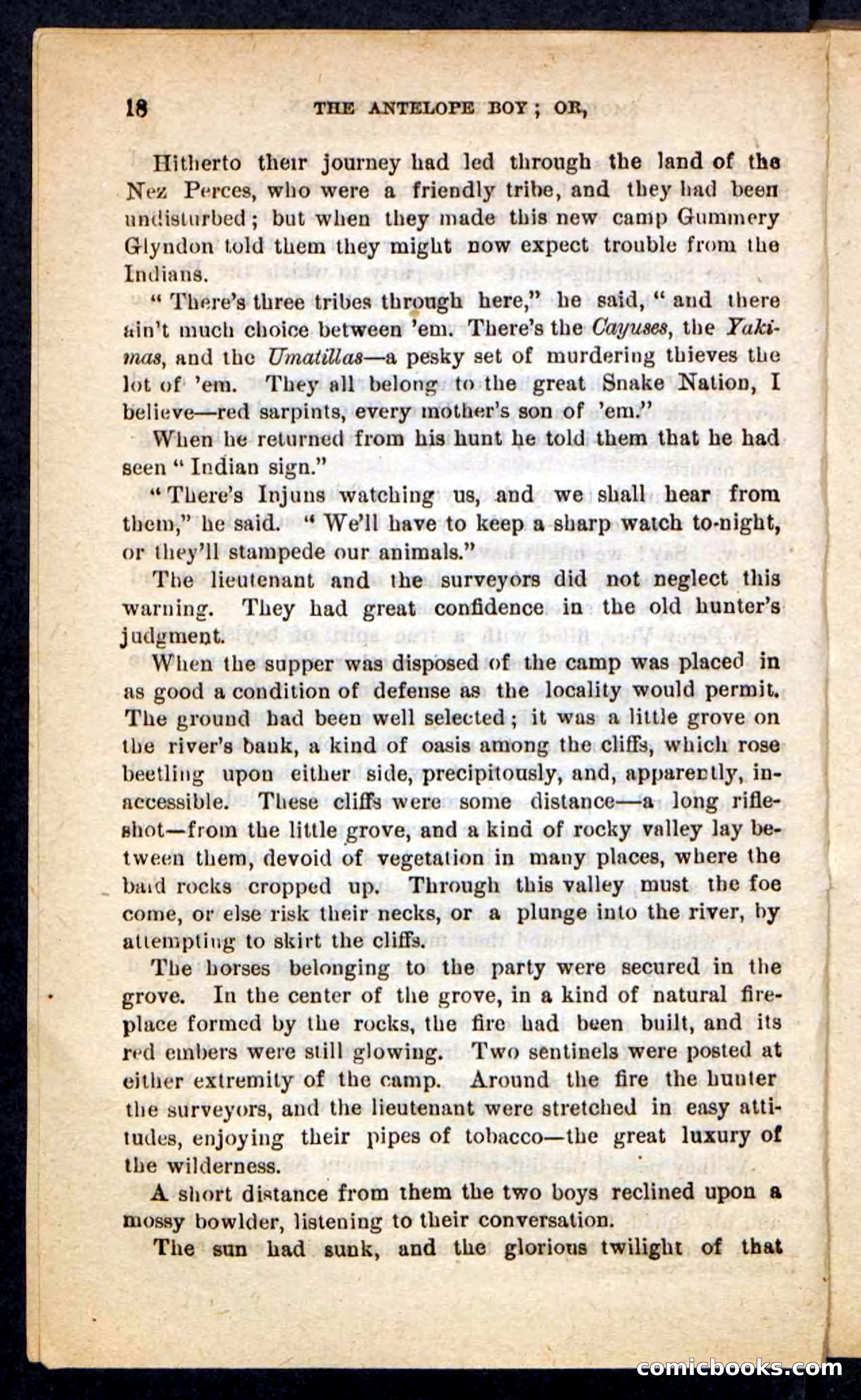 The Antelope Boy — page 14 of 100