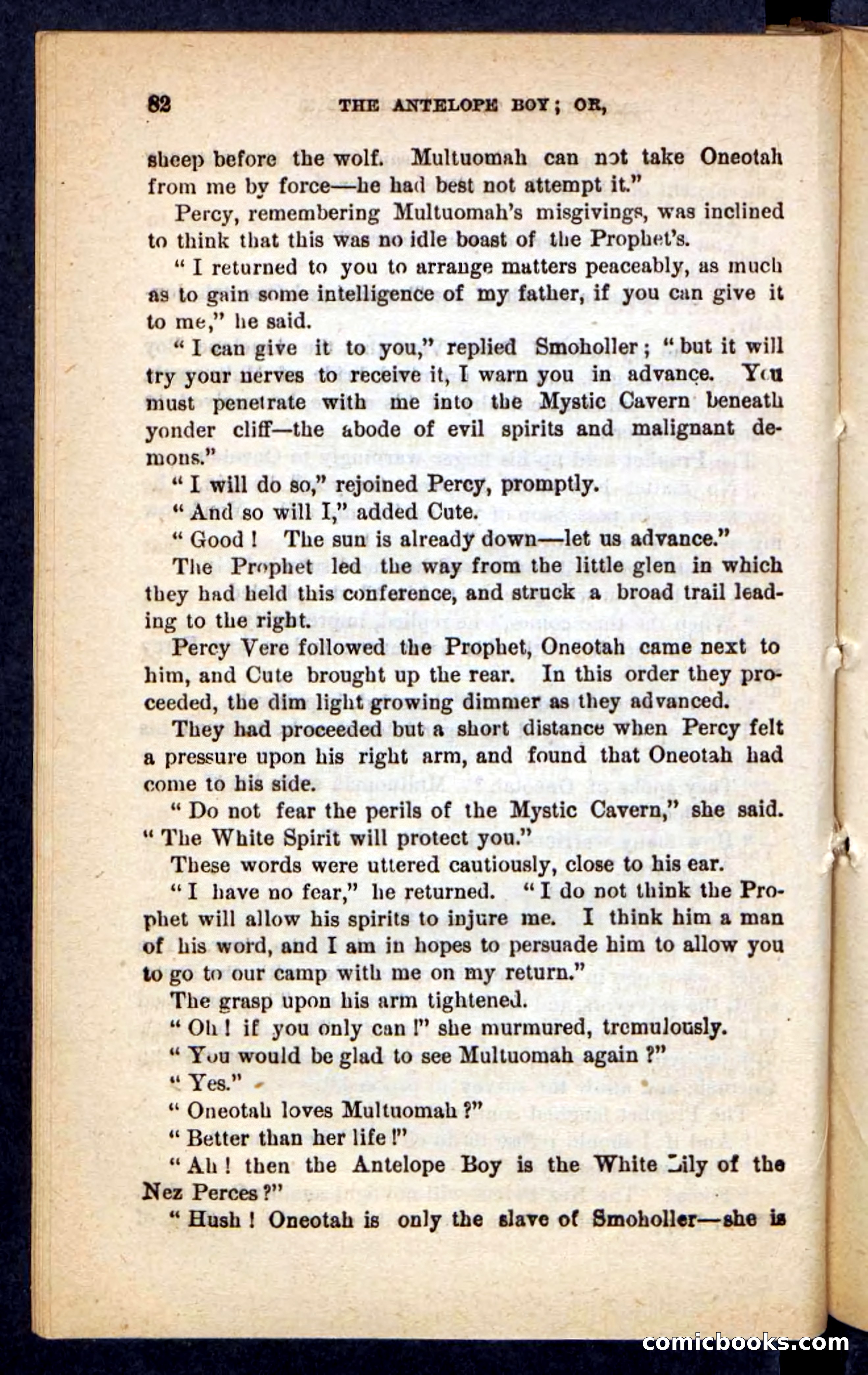 The Antelope Boy — page 78 of 100