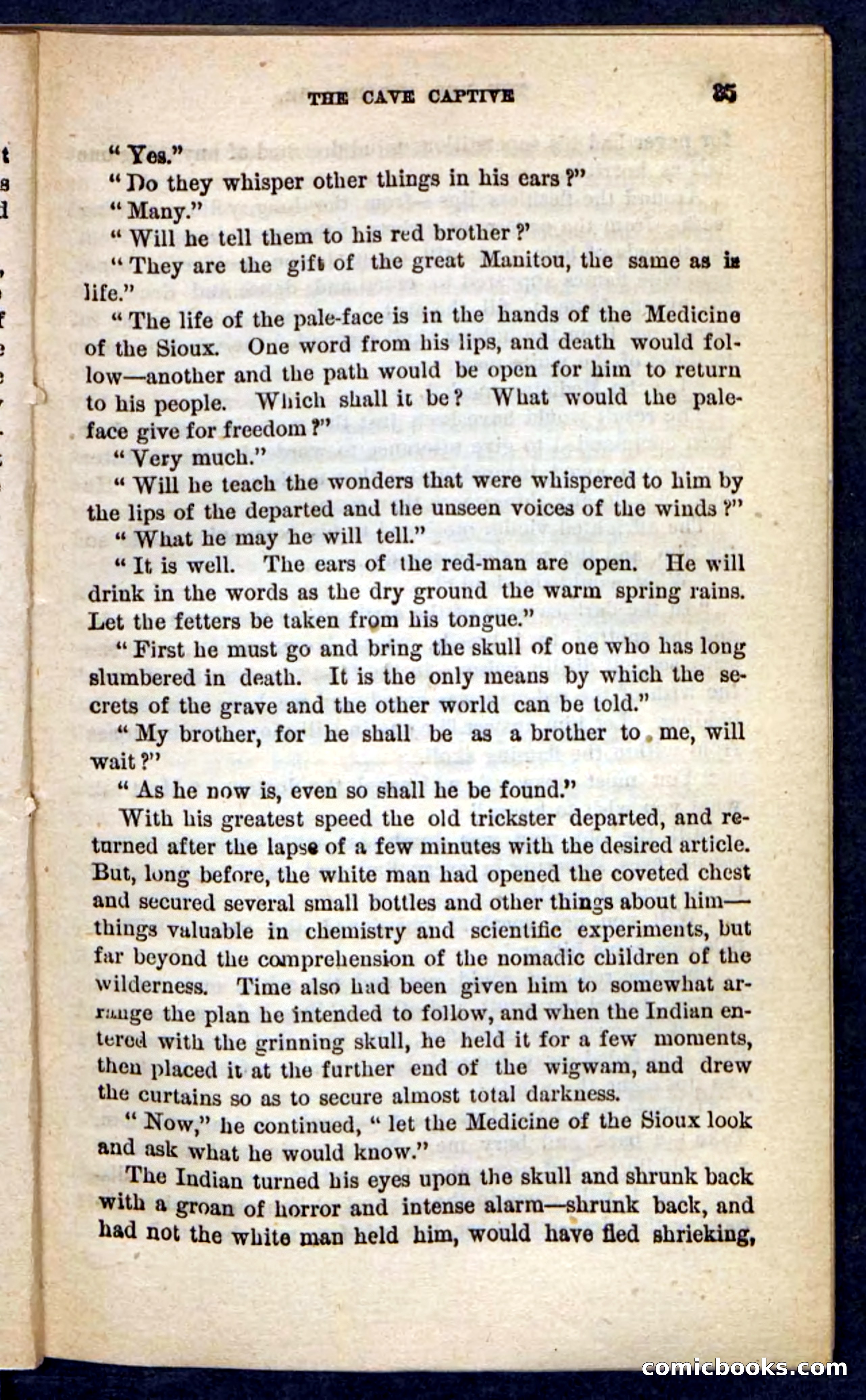 The Red Wizard — page 31 of 100