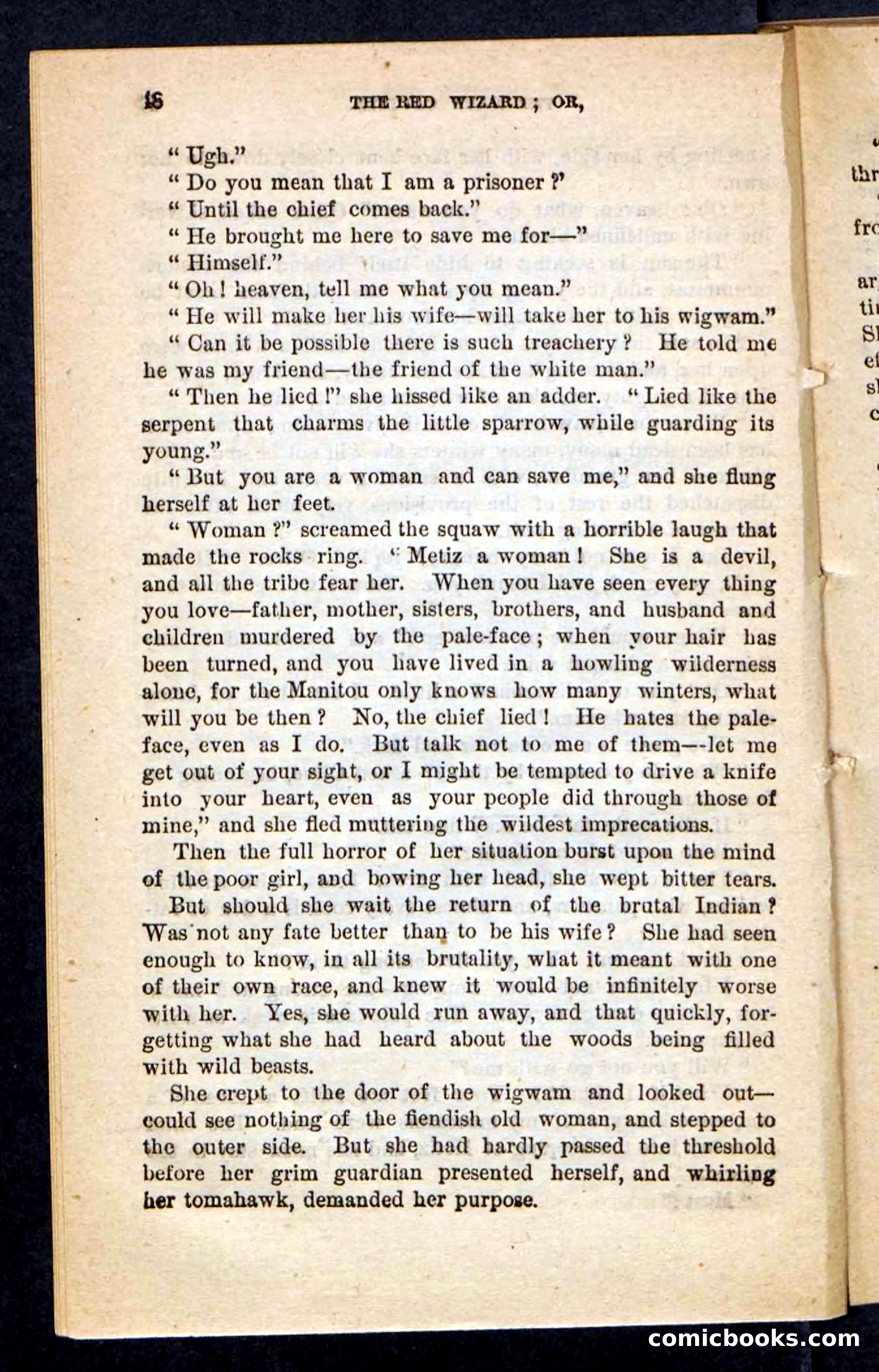 The Red Wizard — page 44 of 100