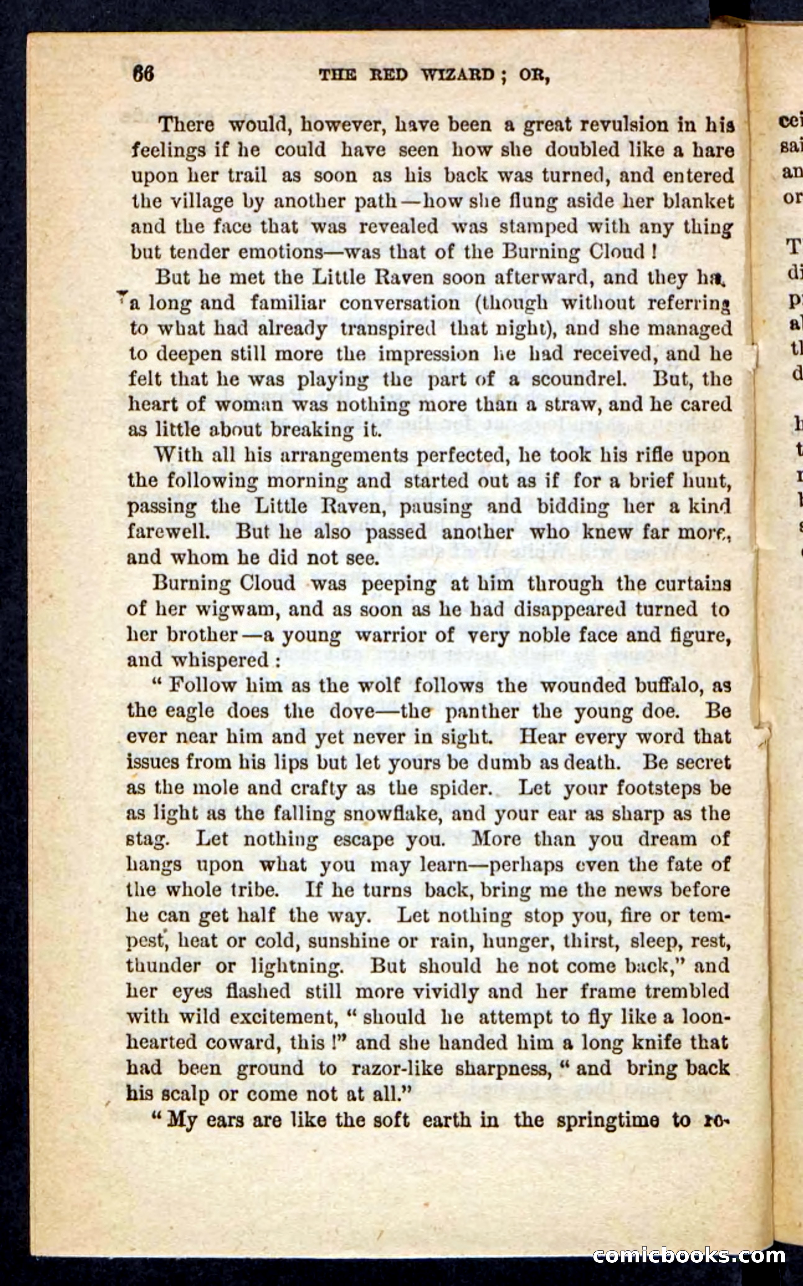 The Red Wizard — page 62 of 100