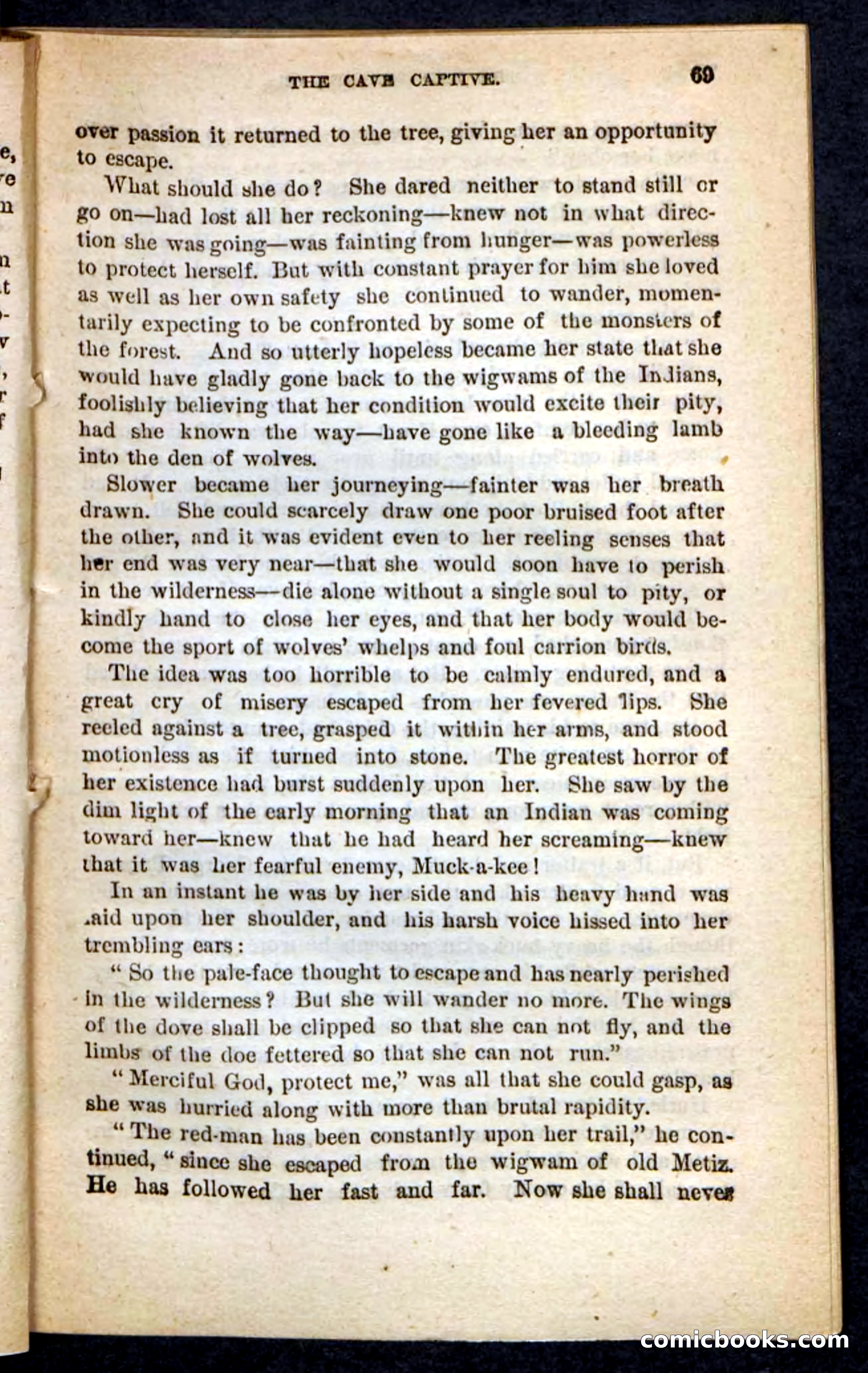 The Red Wizard — page 65 of 100