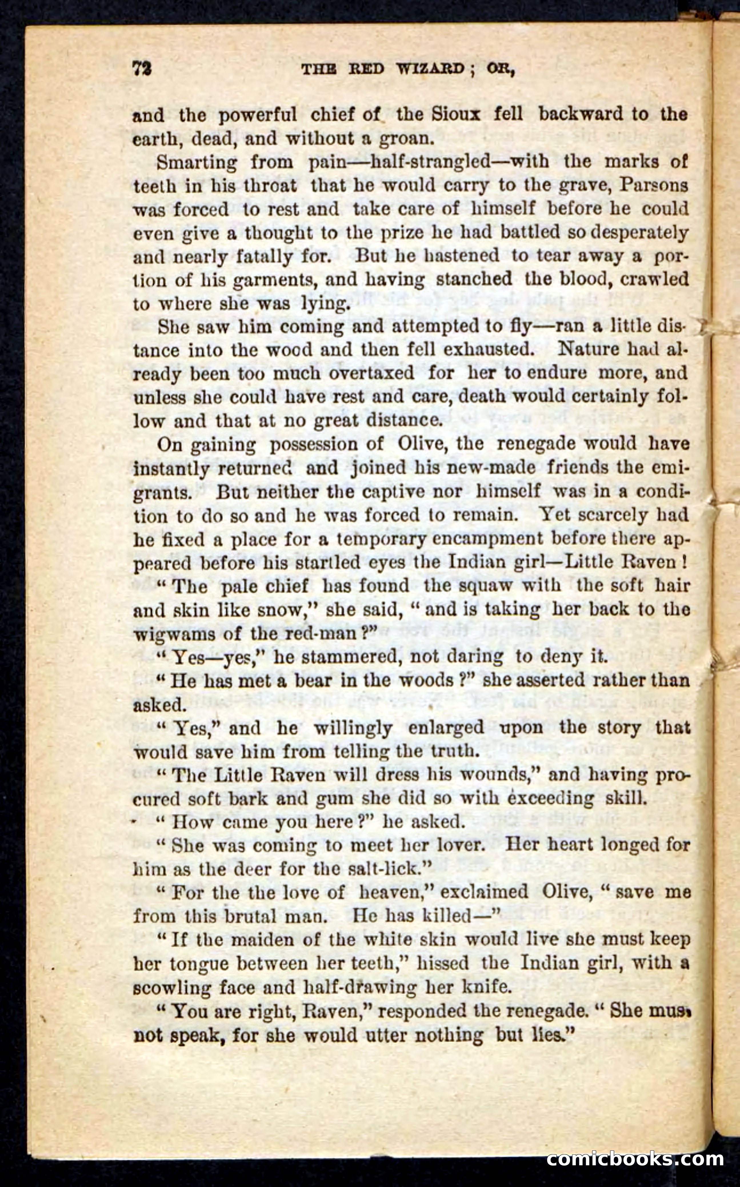 The Red Wizard — page 68 of 100