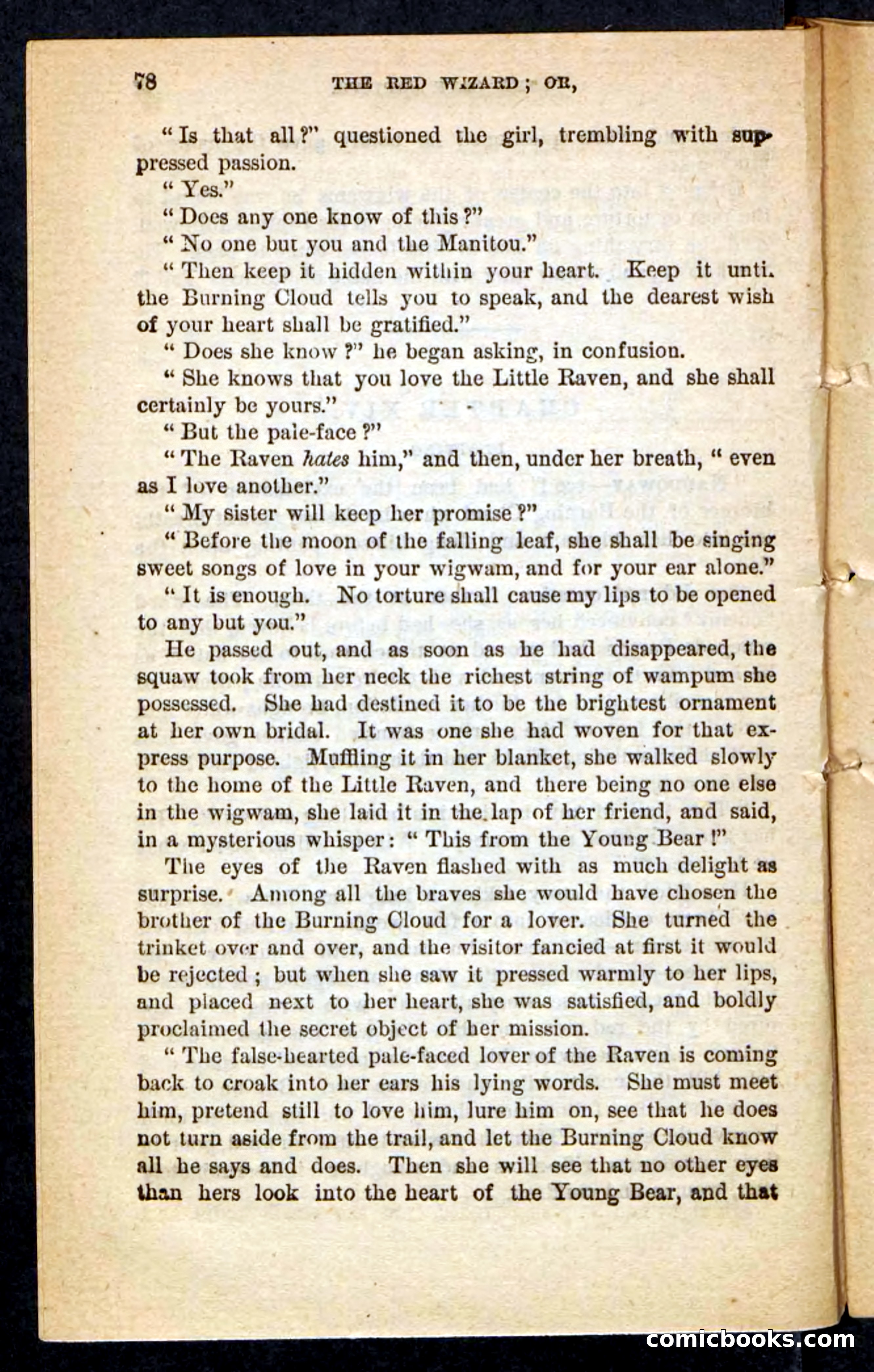 The Red Wizard — page 74 of 100