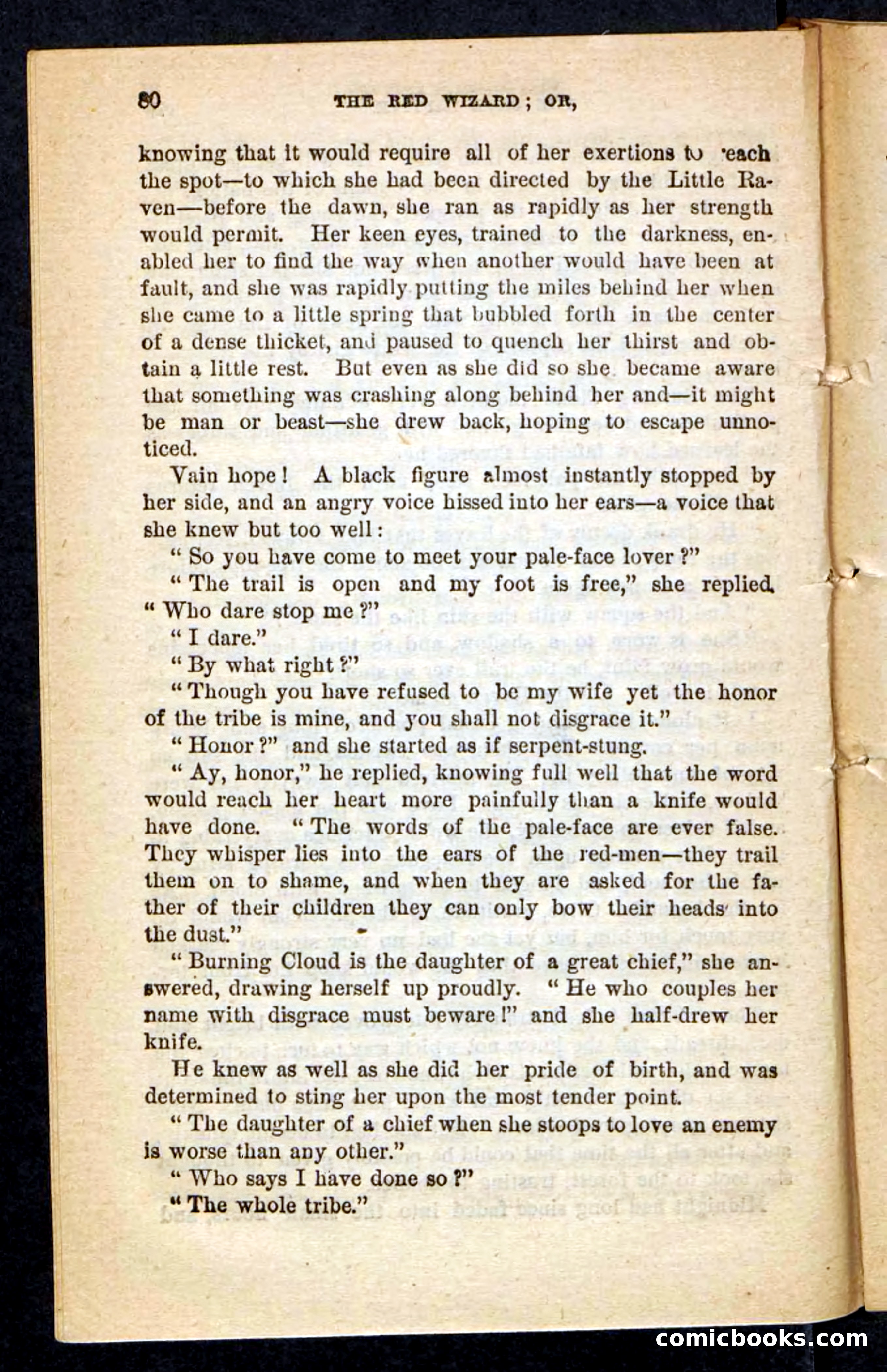 The Red Wizard — page 76 of 100