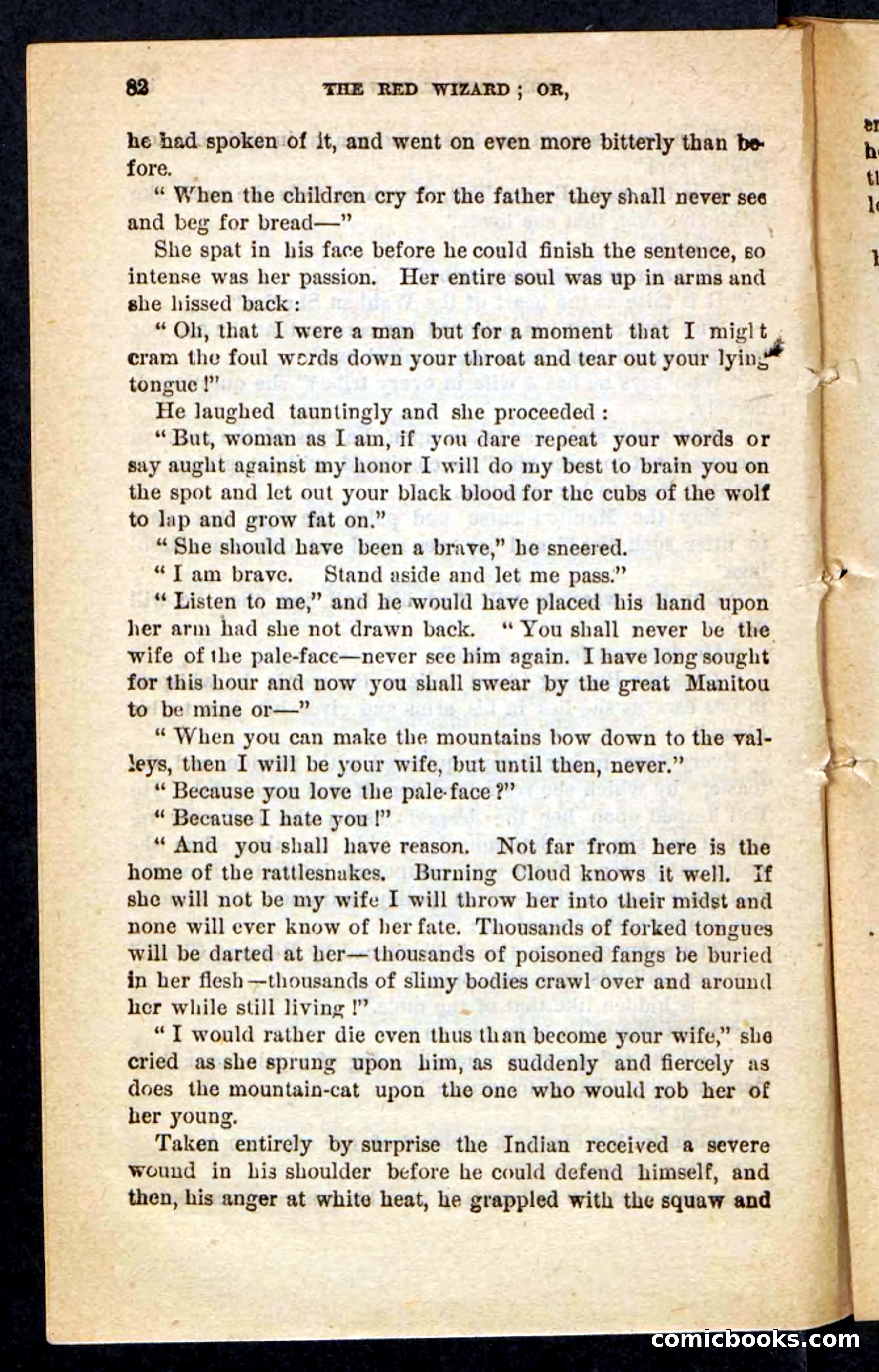 The Red Wizard — page 78 of 100