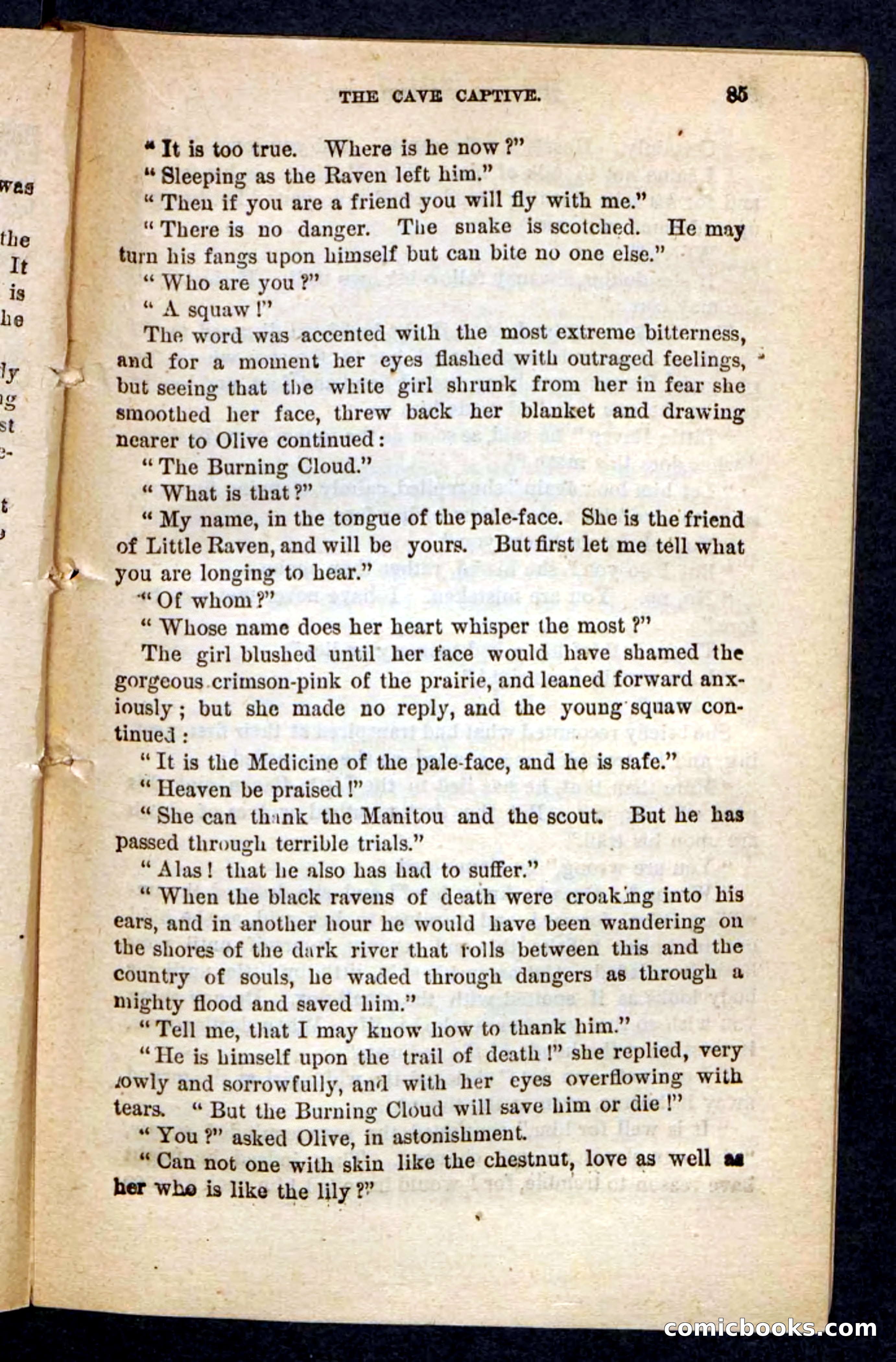 The Red Wizard — page 81 of 100
