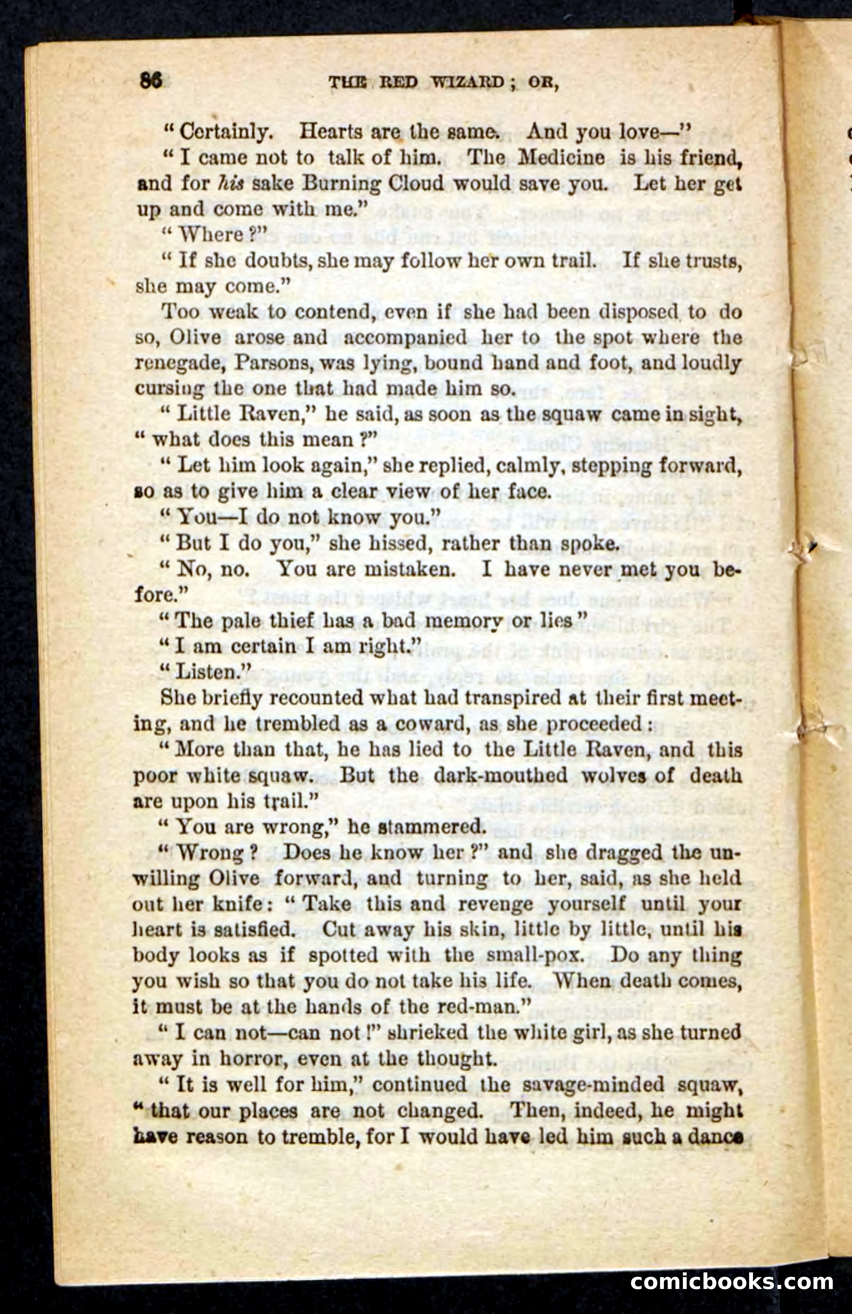 The Red Wizard — page 82 of 100