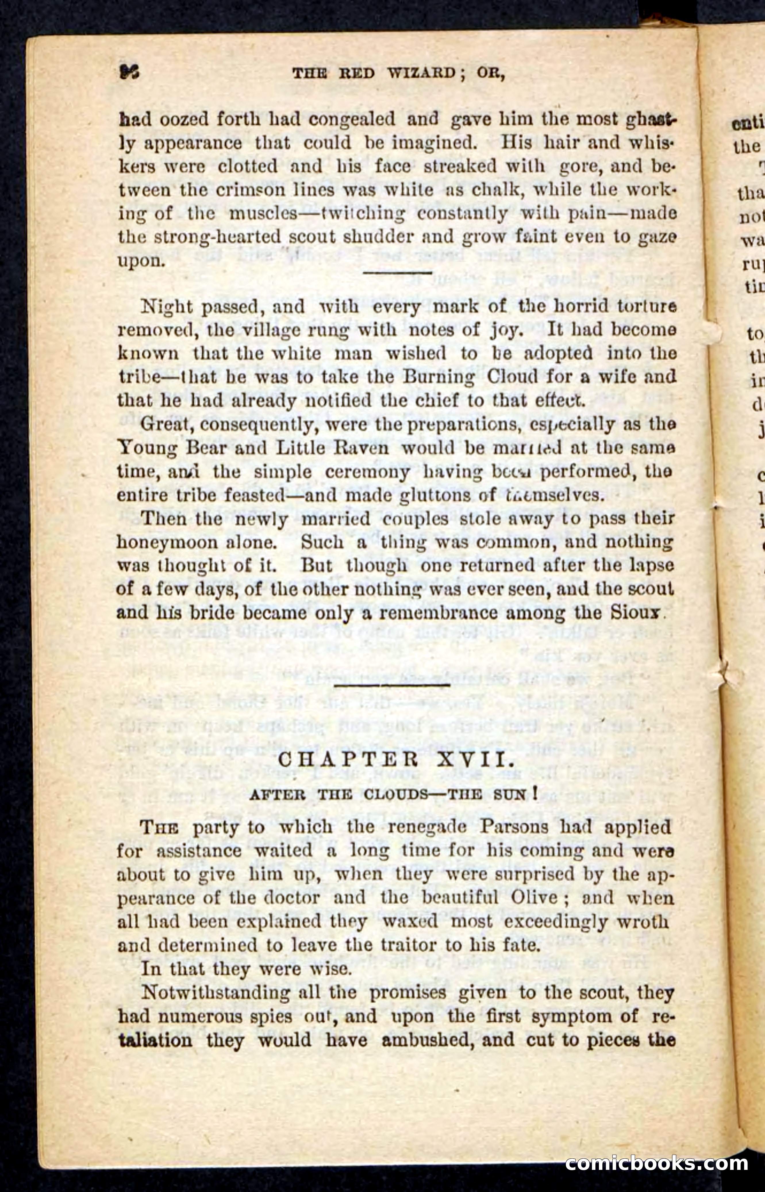 The Red Wizard — page 92 of 100