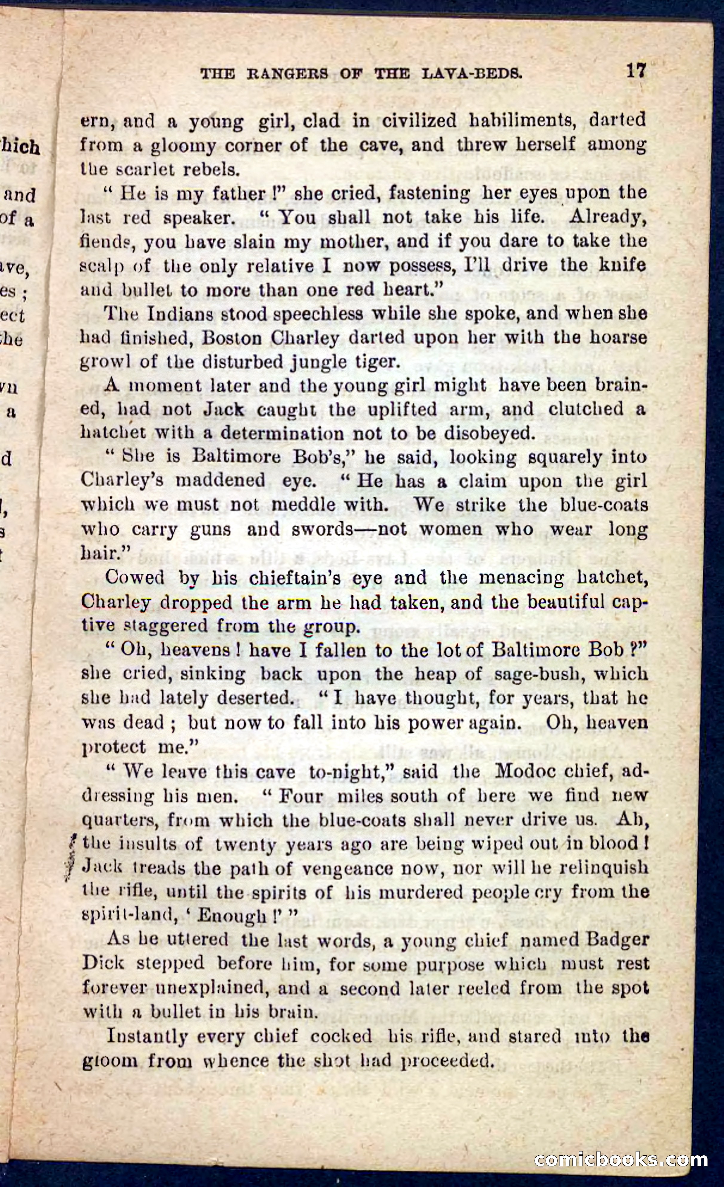 The Squaw Spy — page 13 of 100