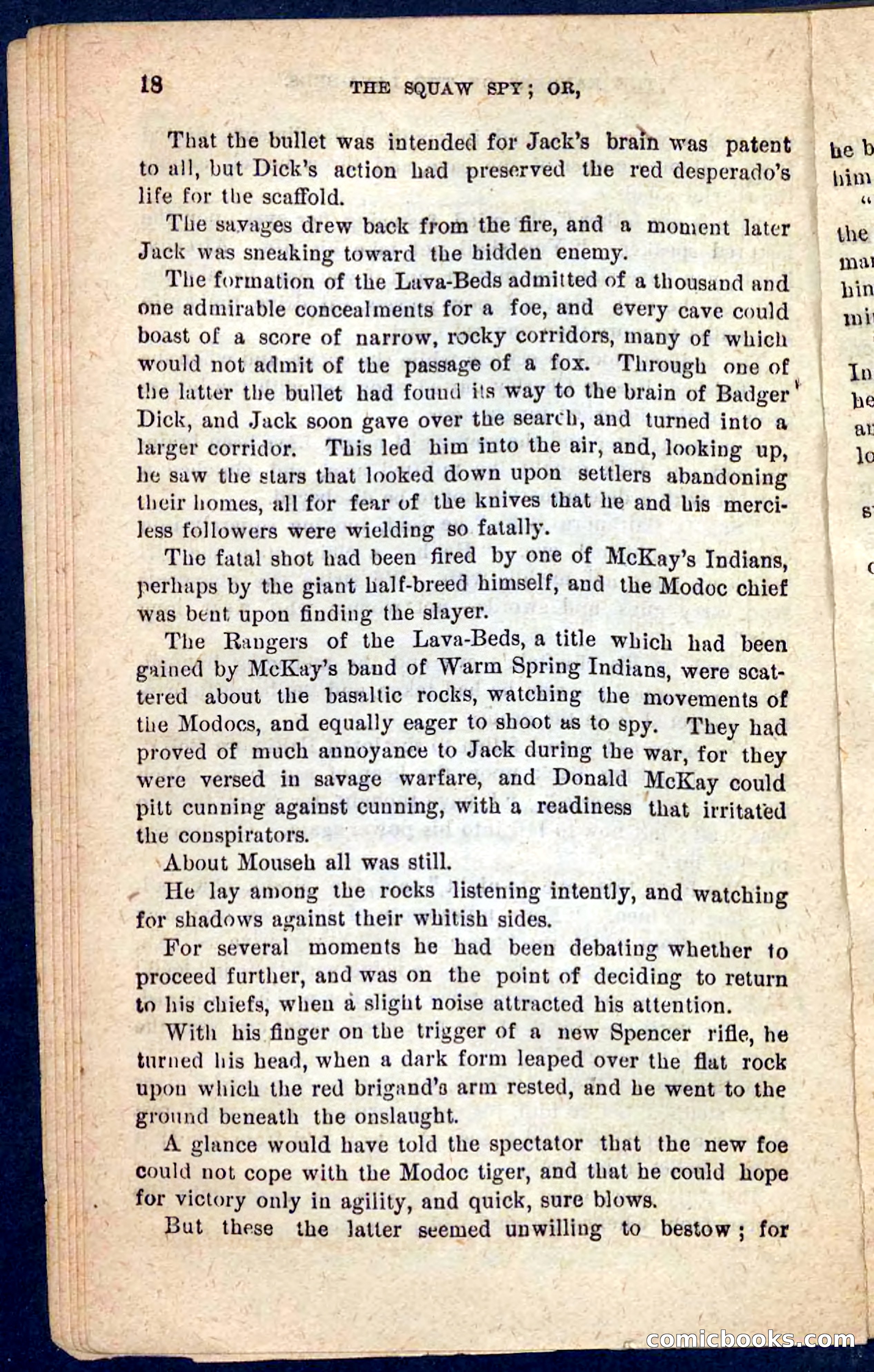 The Squaw Spy — page 14 of 100