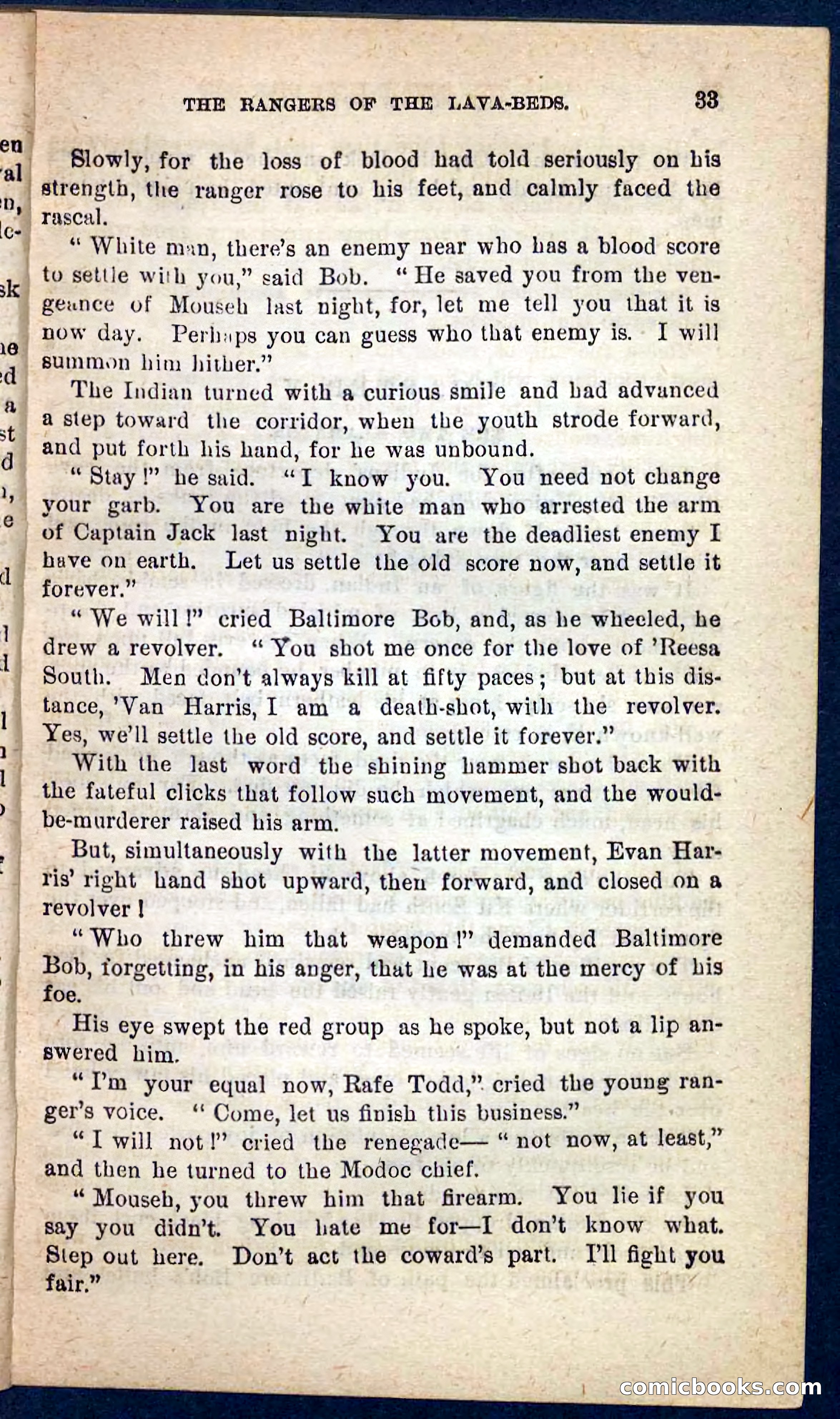 The Squaw Spy — page 29 of 100