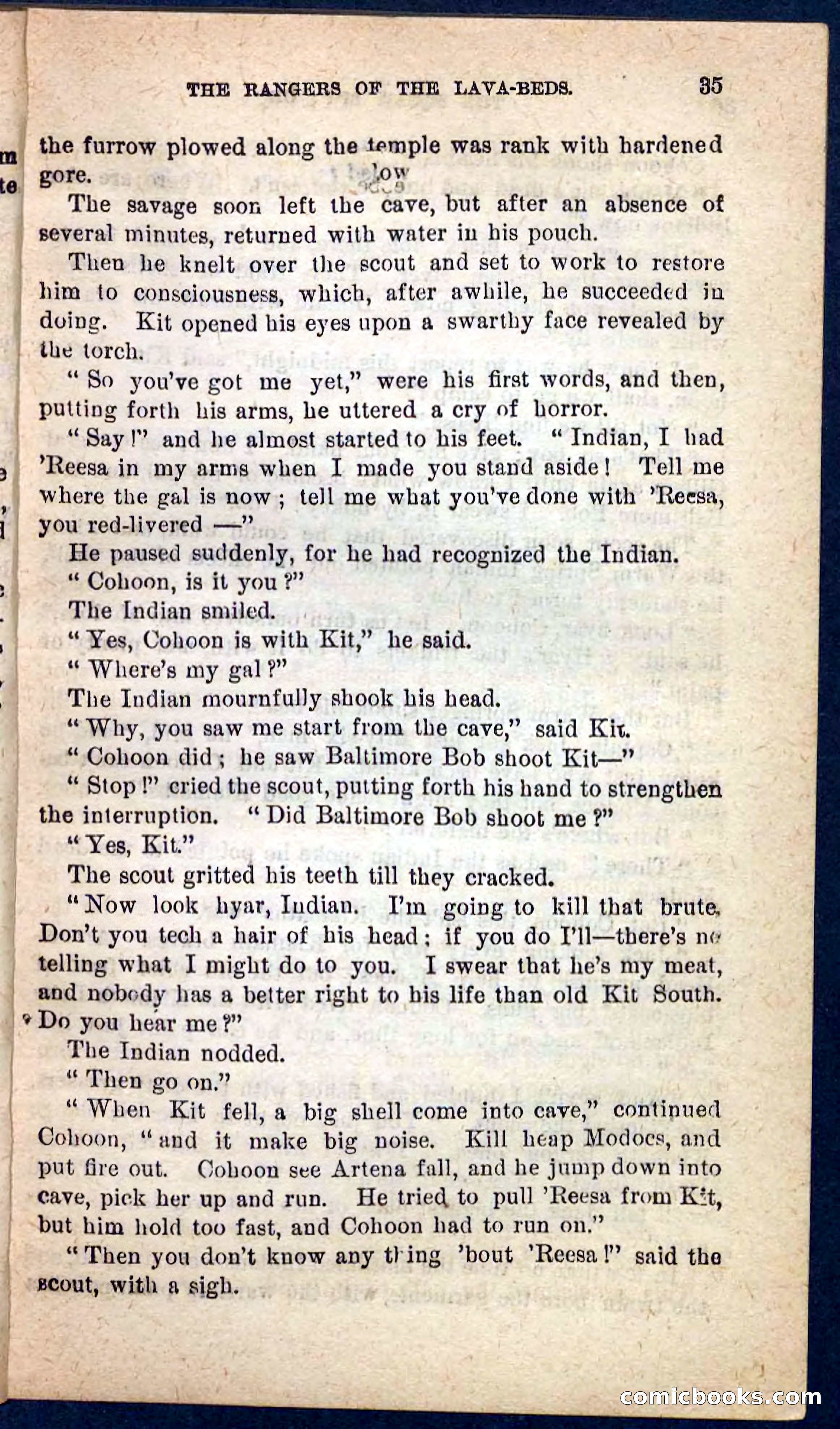 The Squaw Spy — page 31 of 100