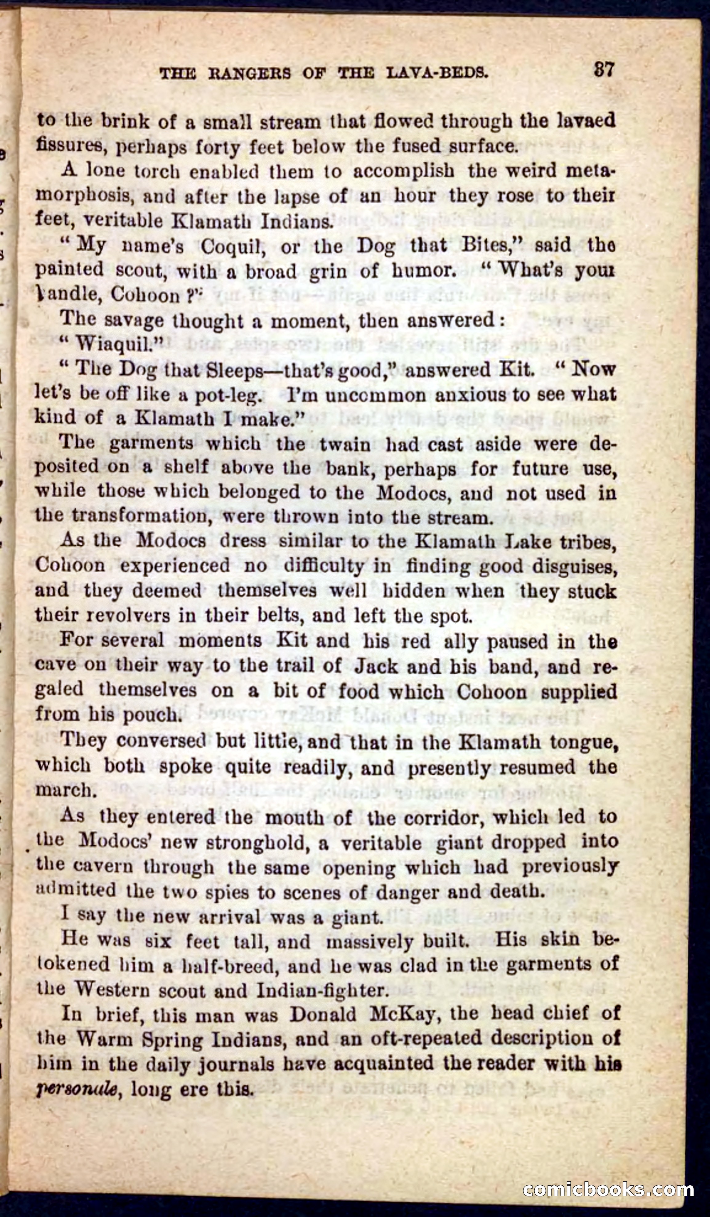 The Squaw Spy — page 33 of 100