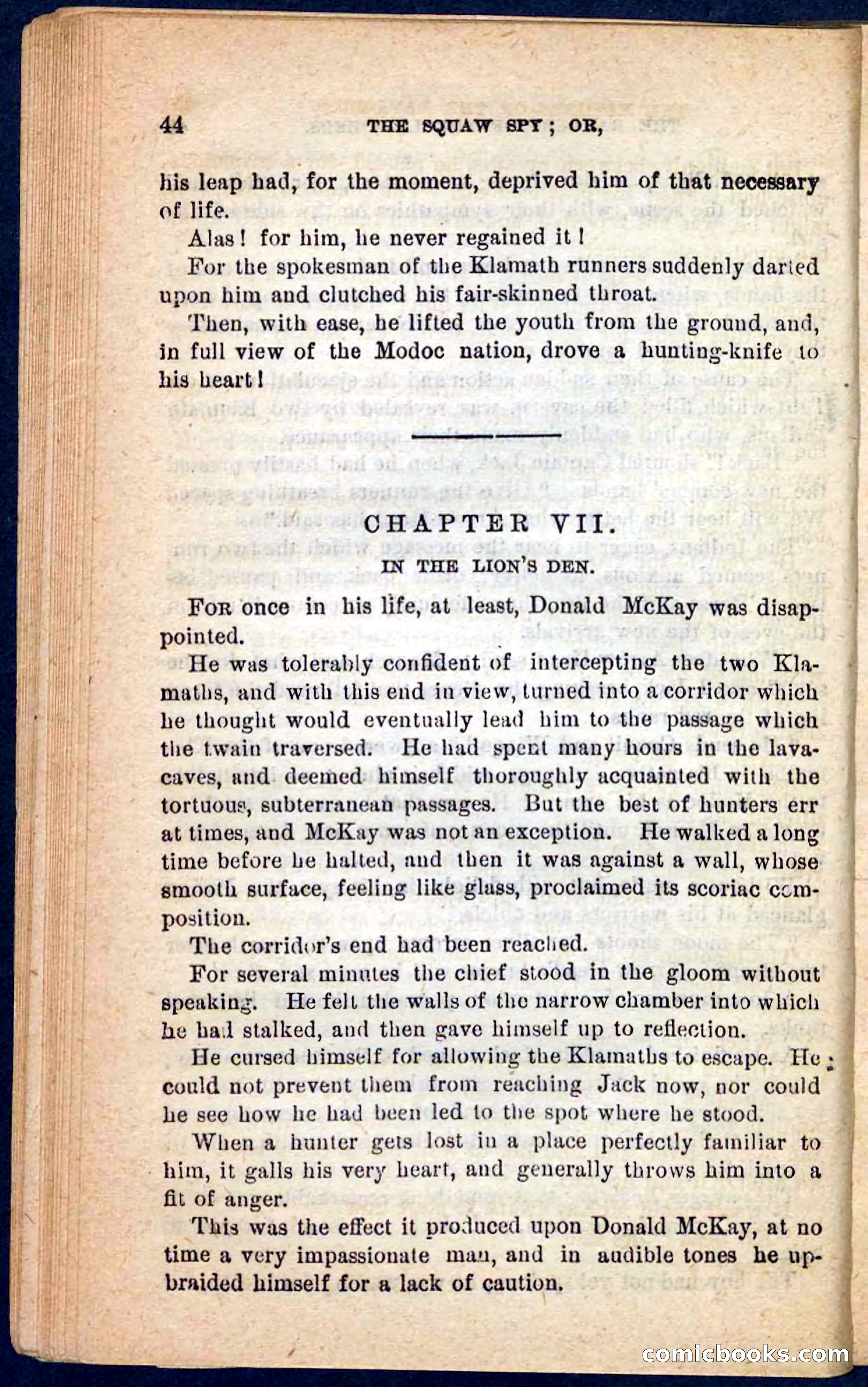The Squaw Spy — page 40 of 100