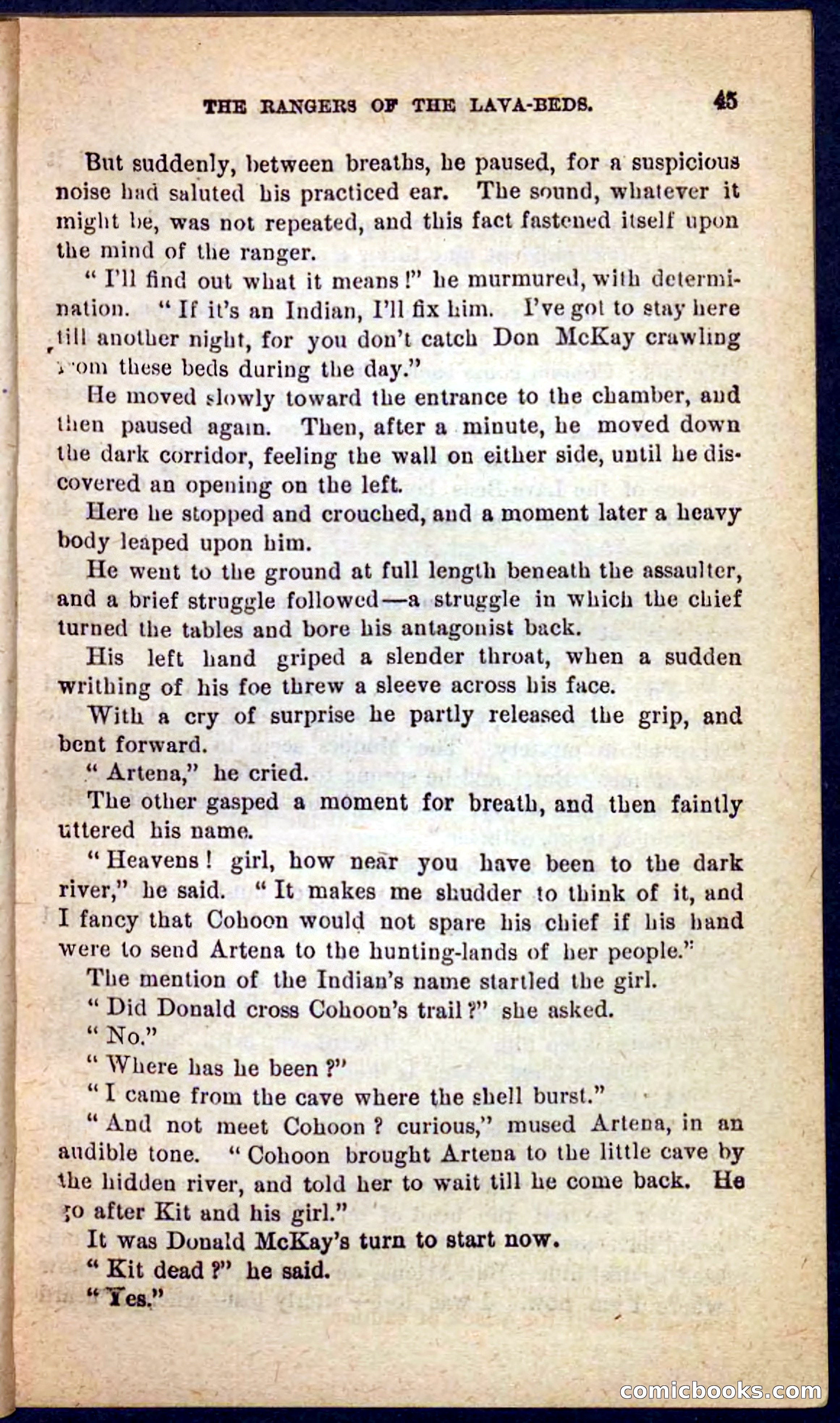 The Squaw Spy — page 41 of 100