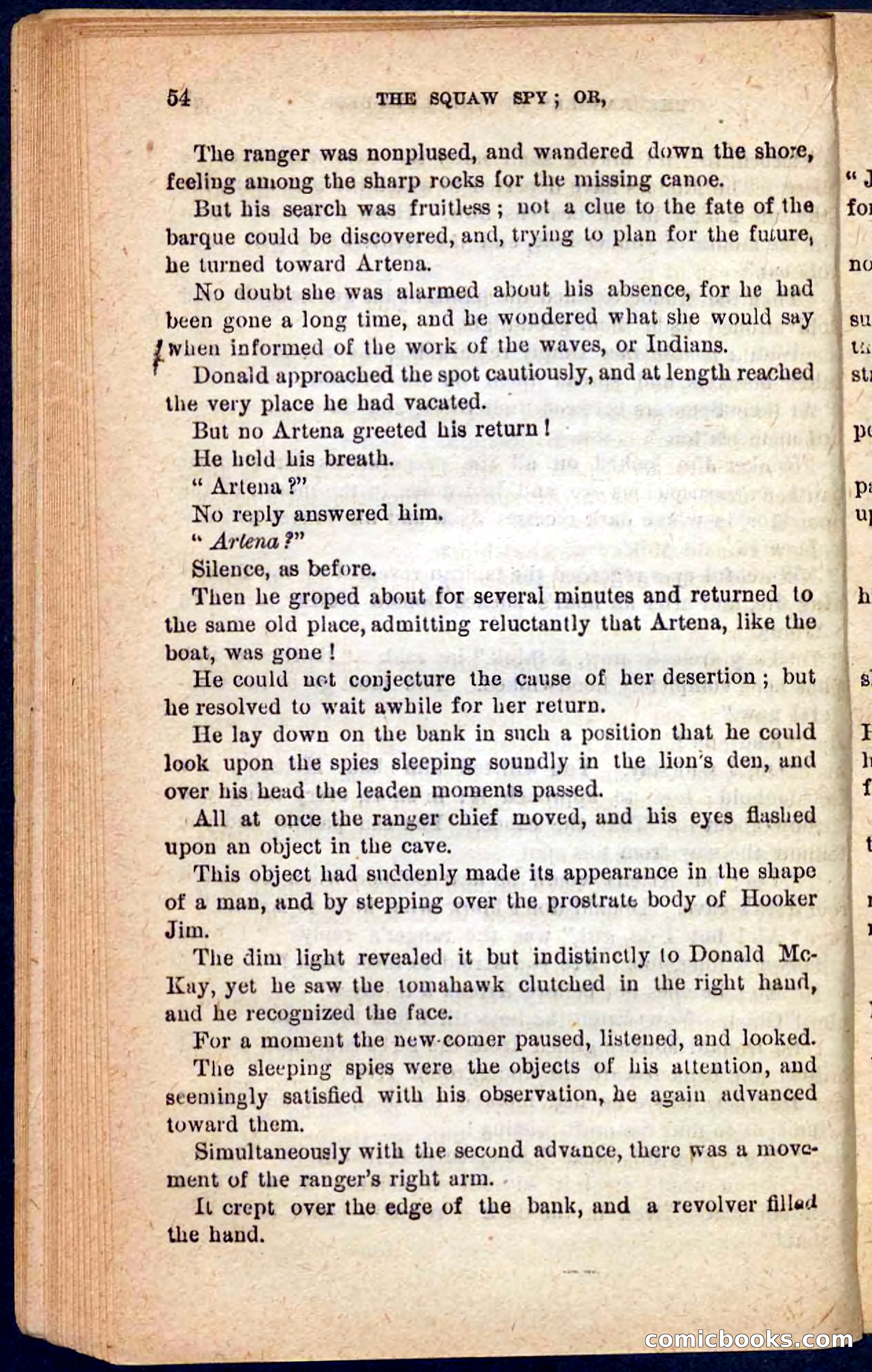 The Squaw Spy — page 50 of 100