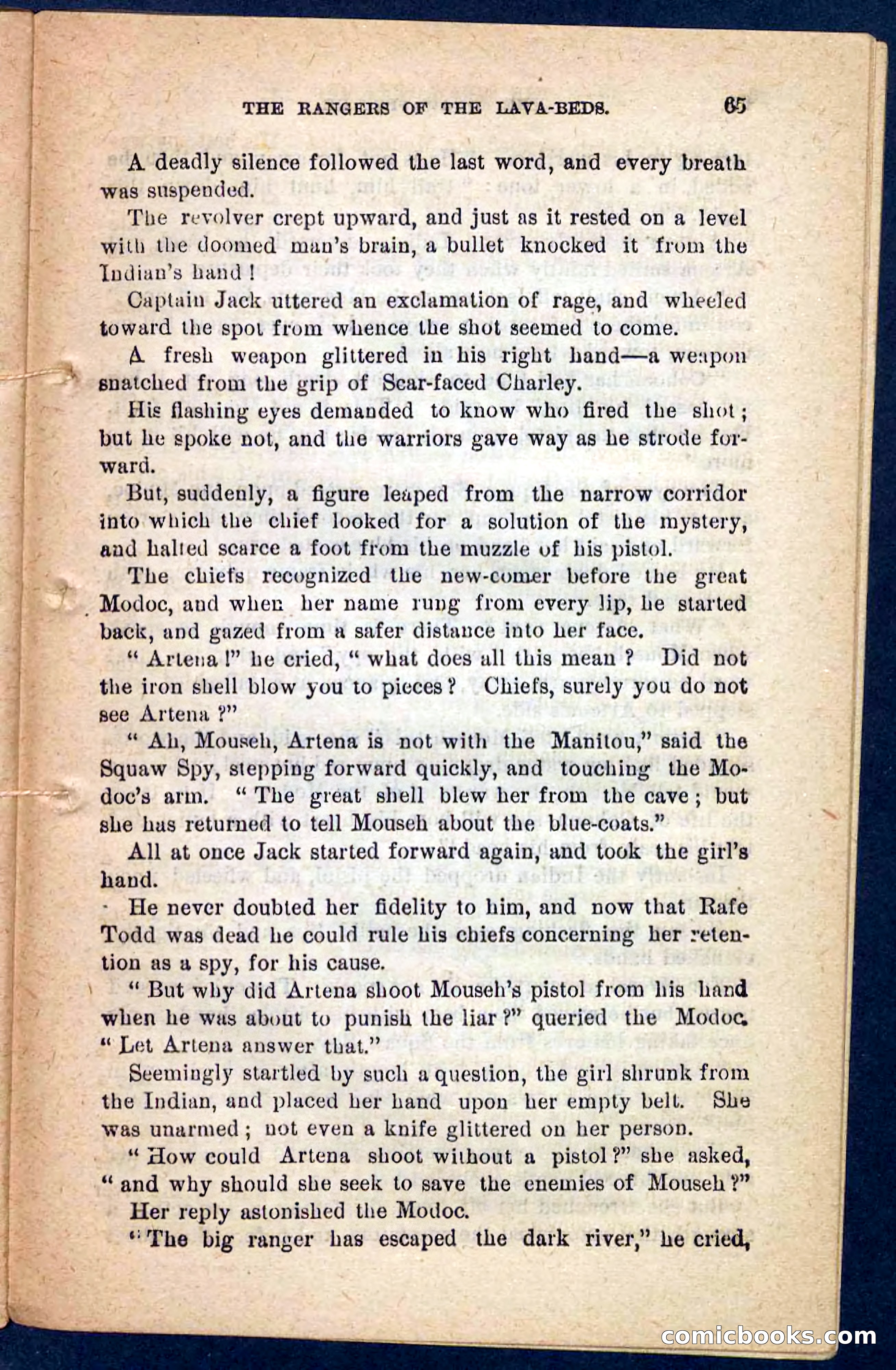 The Squaw Spy — page 61 of 100
