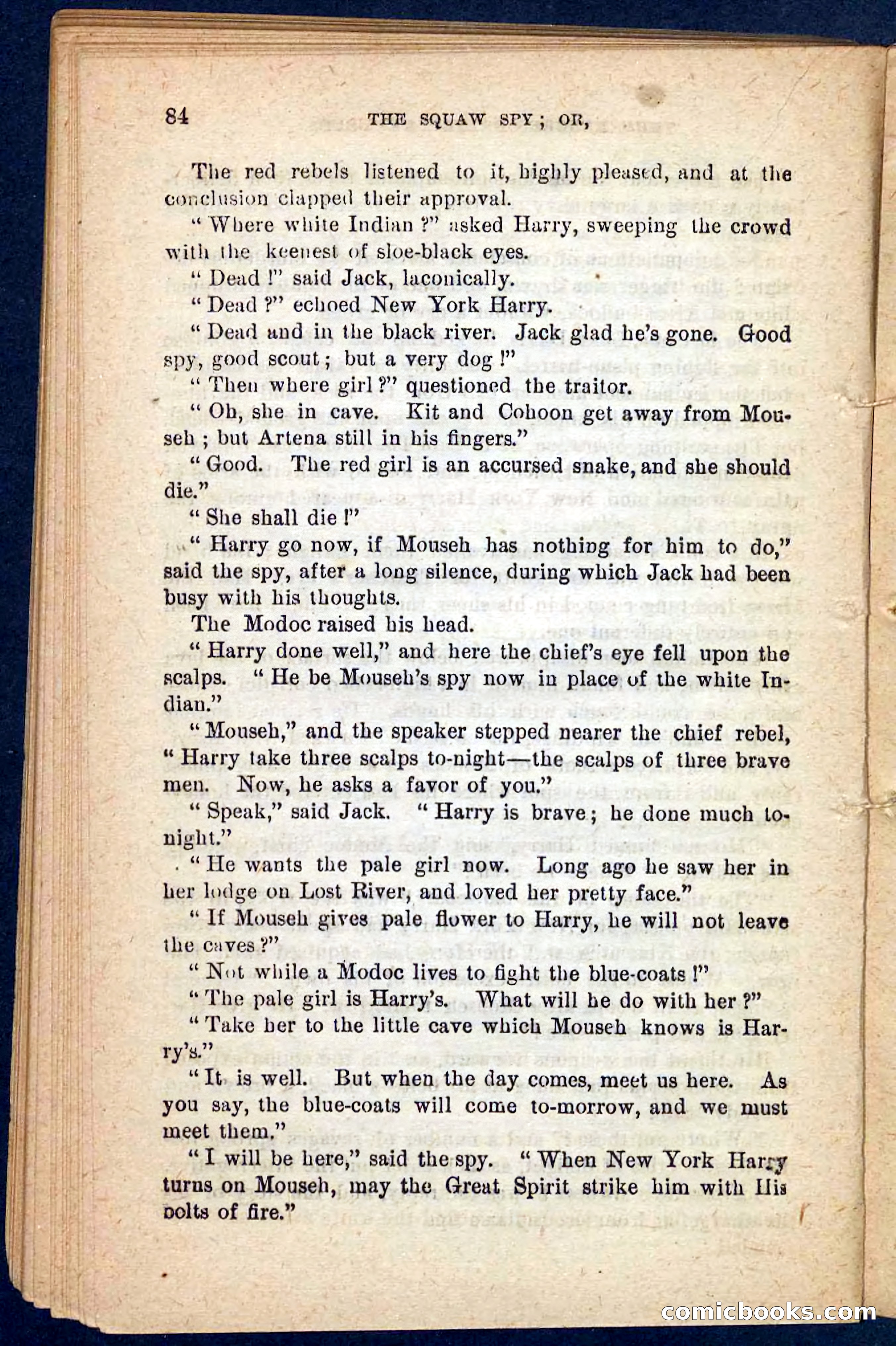 The Squaw Spy — page 80 of 100