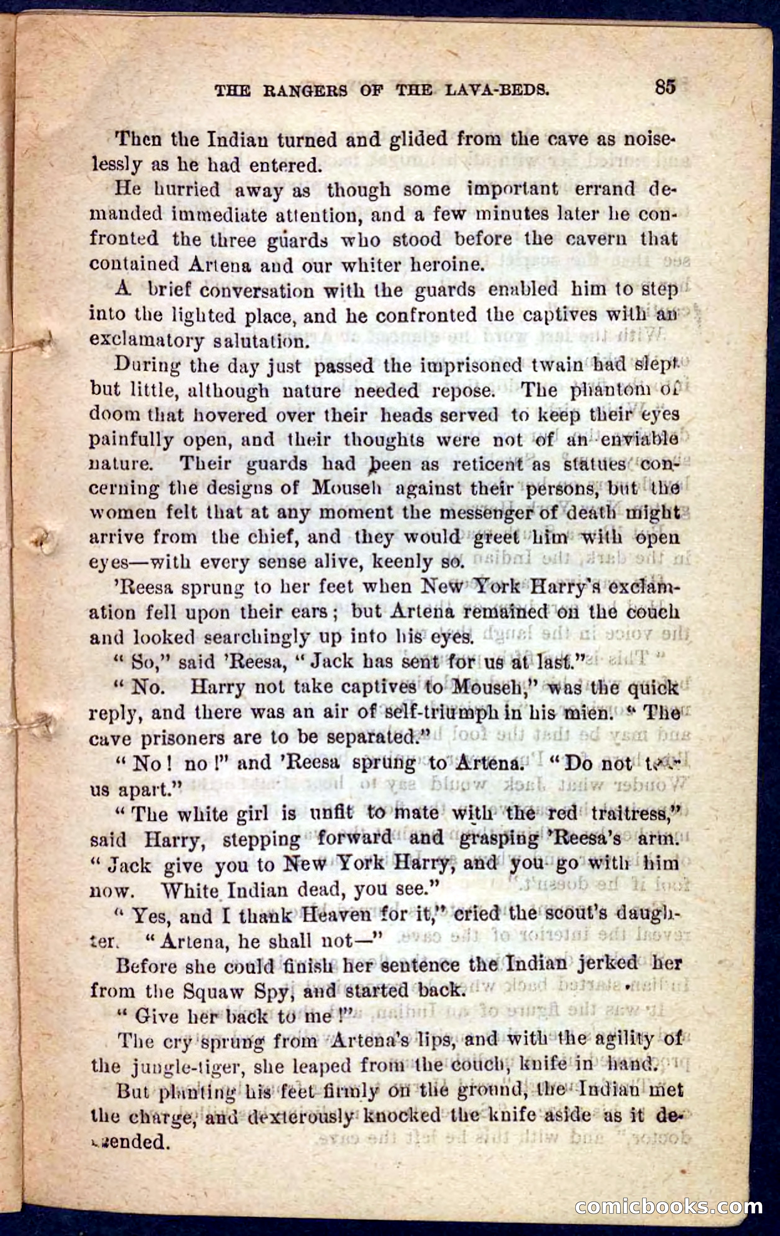 The Squaw Spy — page 81 of 100