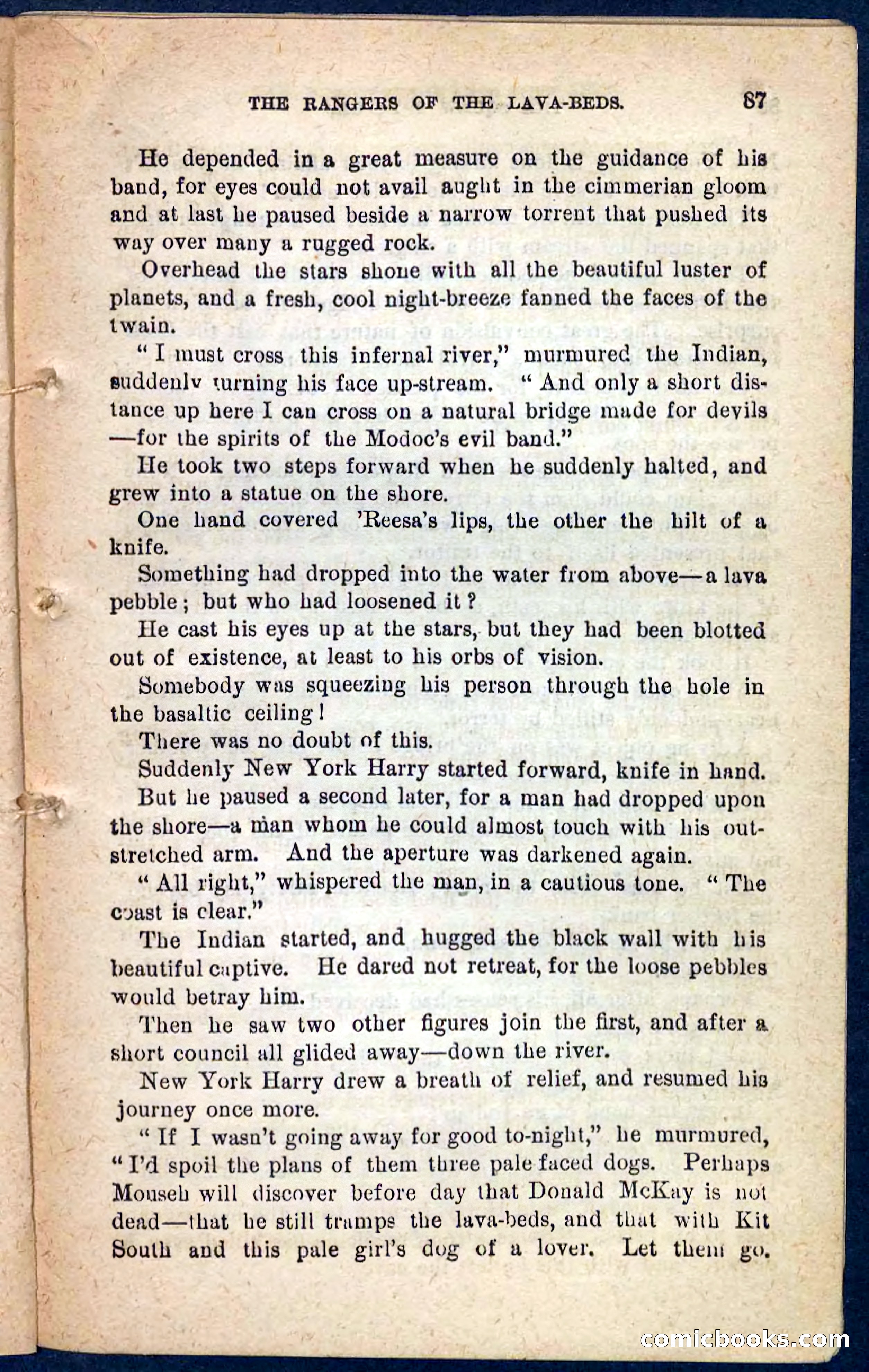 The Squaw Spy — page 83 of 100