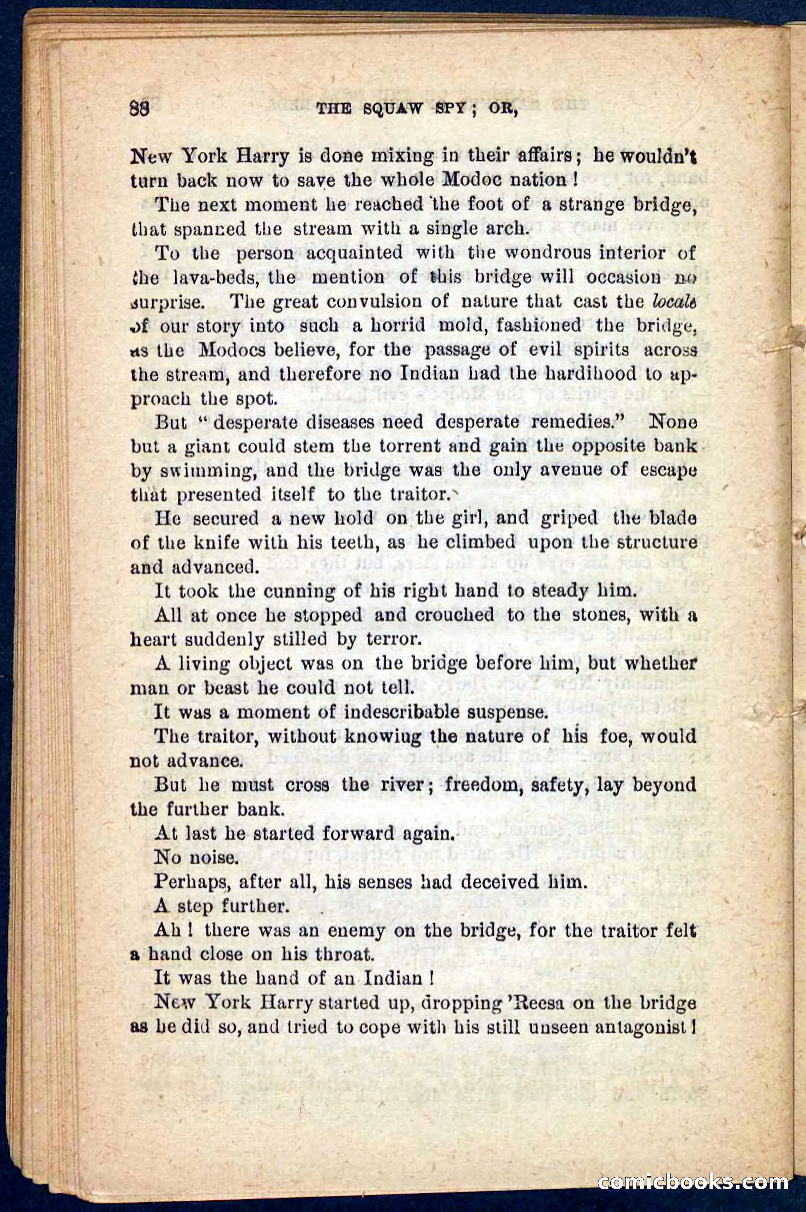 The Squaw Spy — page 84 of 100