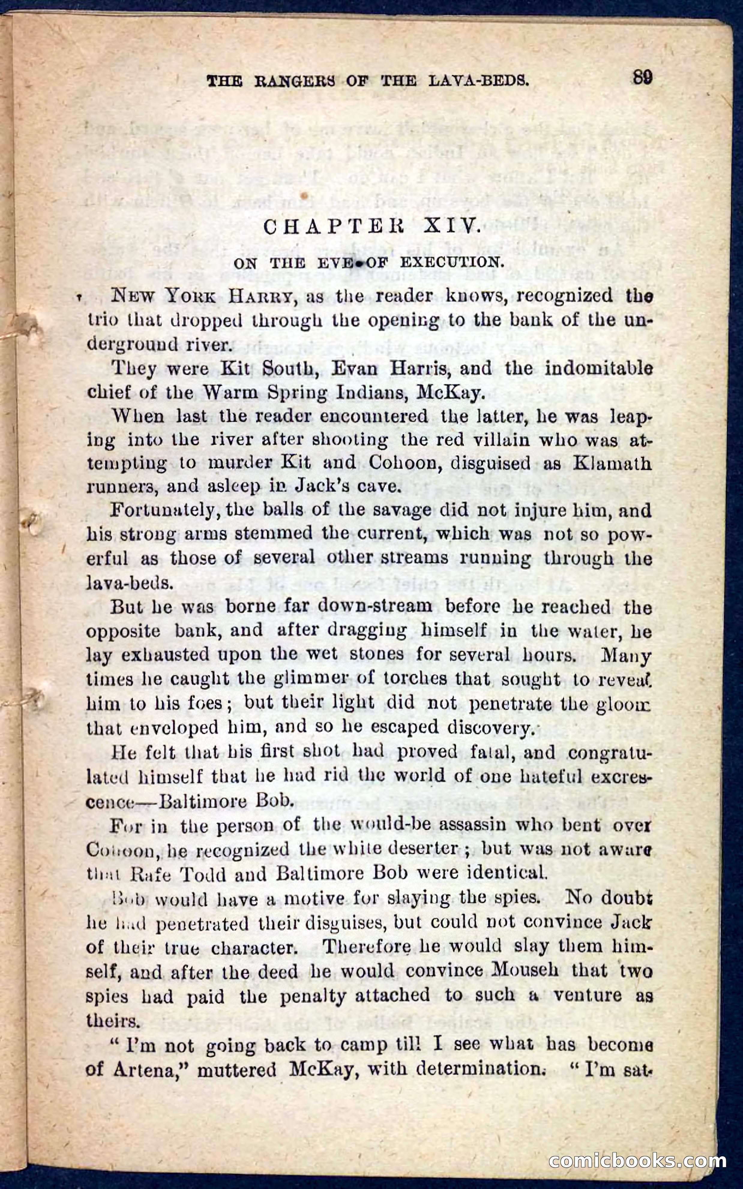 The Squaw Spy — page 85 of 100