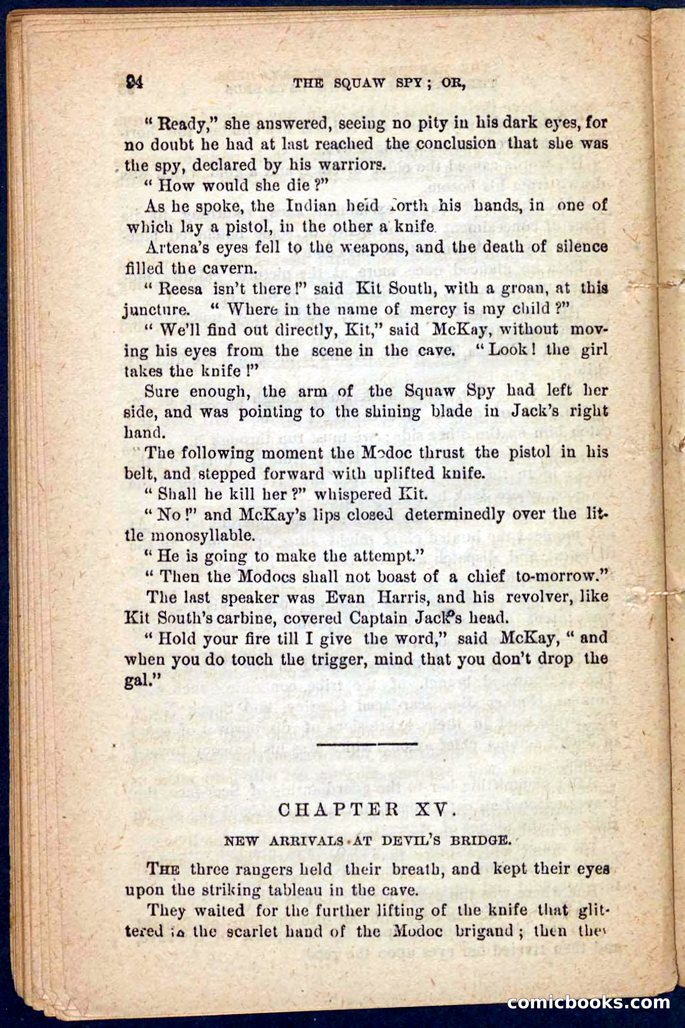 The Squaw Spy — page 90 of 100